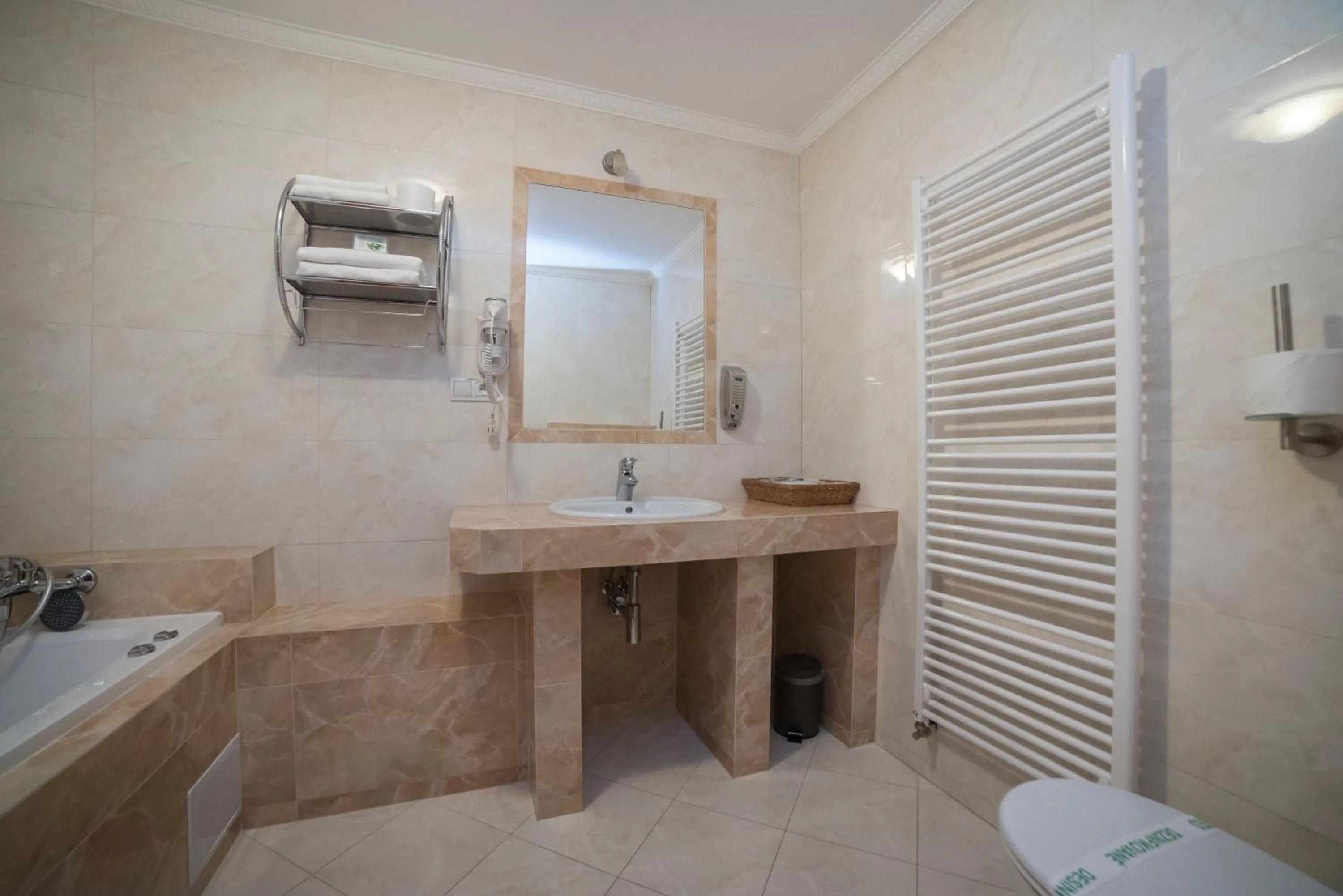 Bathroom in Hotel Alfa