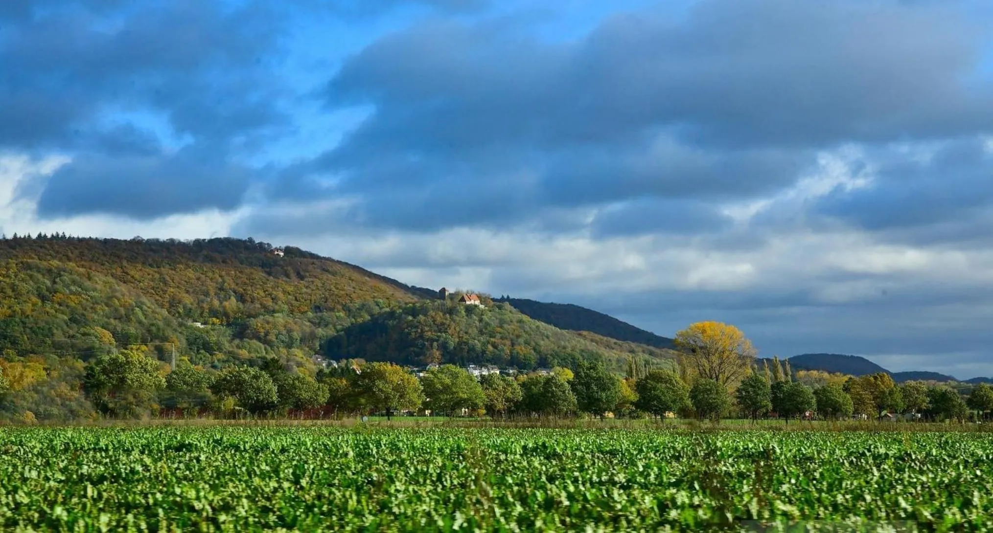 Natural landscape in Villa Schaumburg - Boutique Hotel