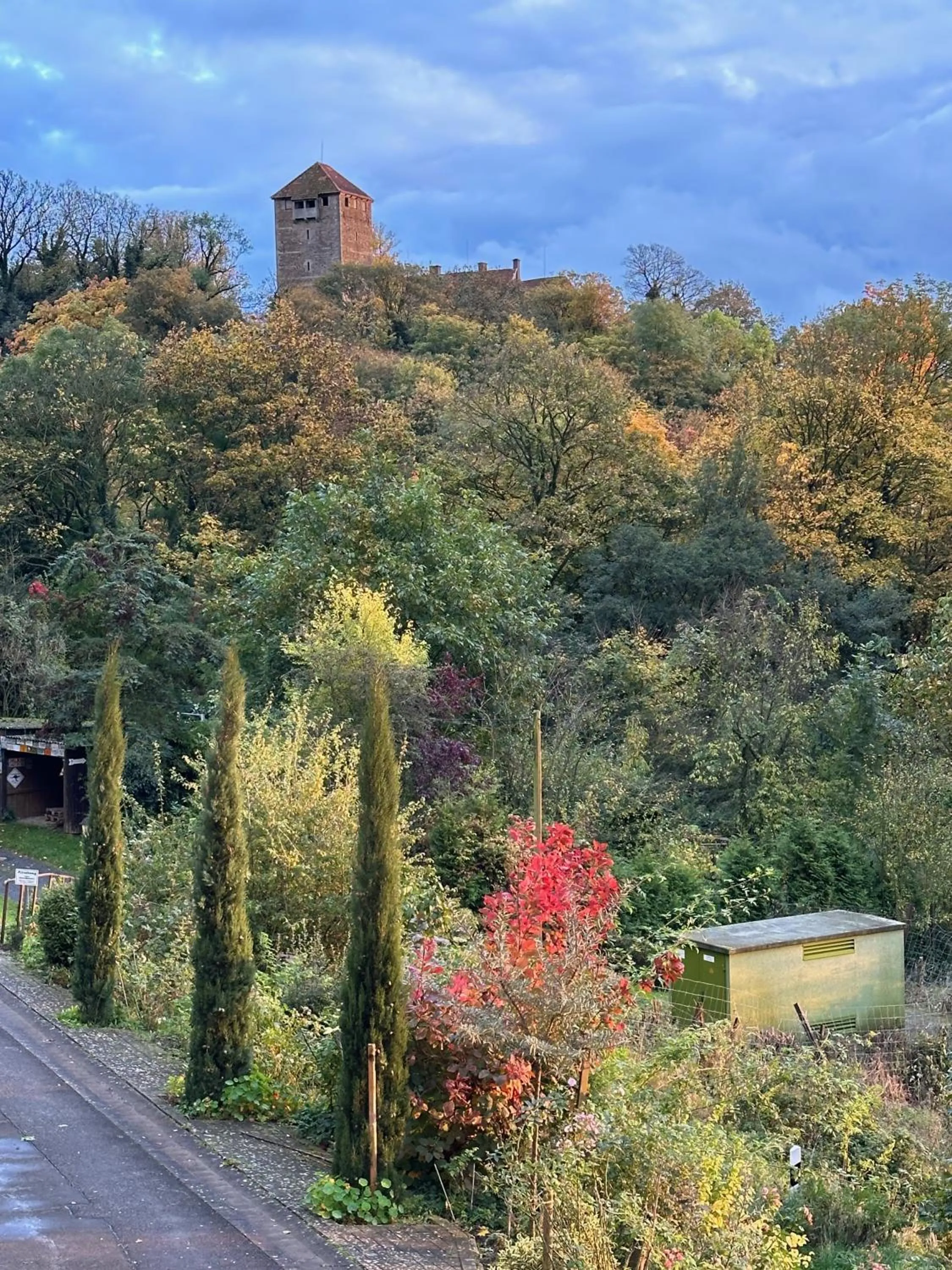 Natural landscape in Villa Schaumburg - Boutique Hotel