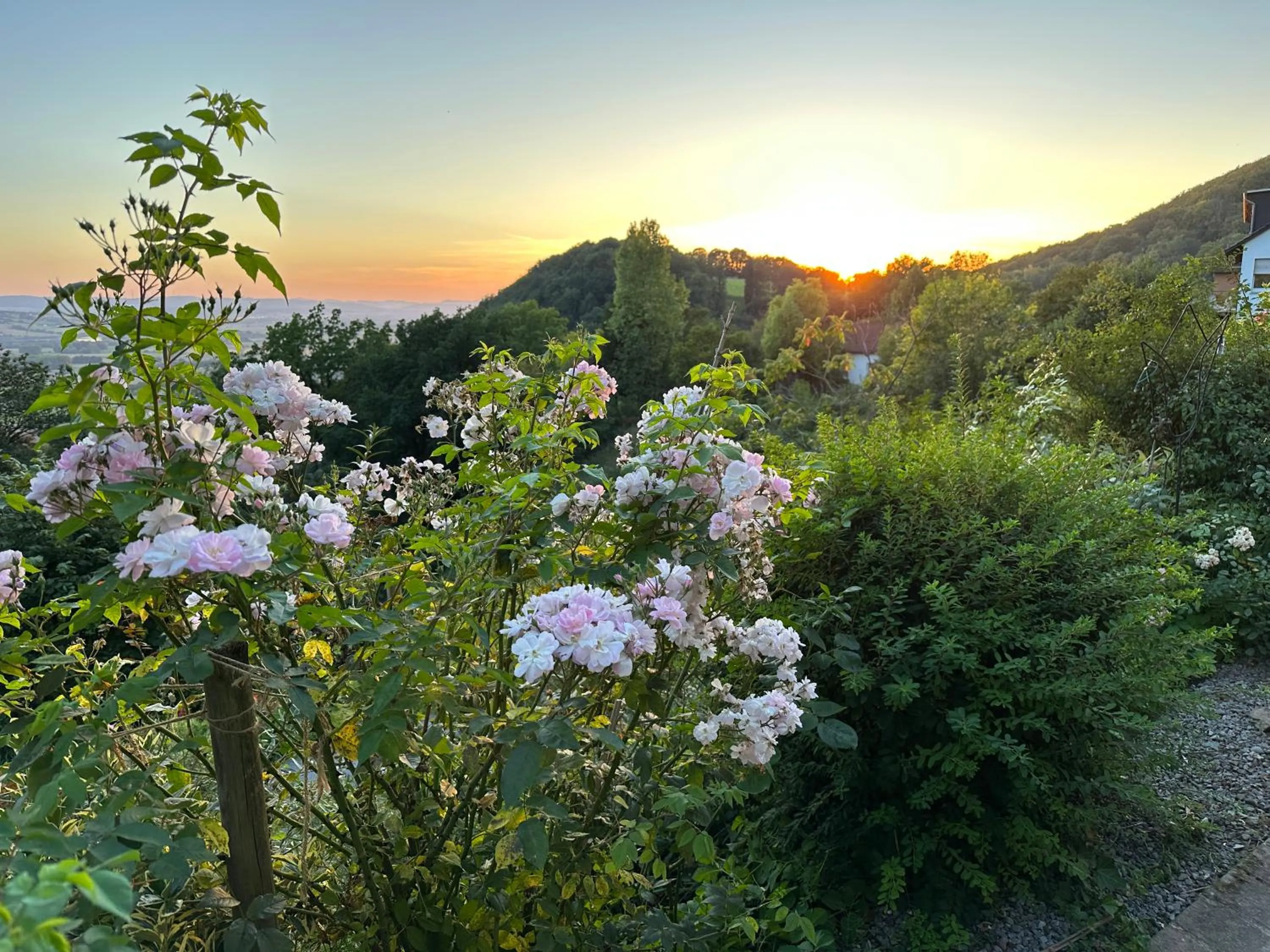 Garden in Villa Schaumburg - Boutique Hotel