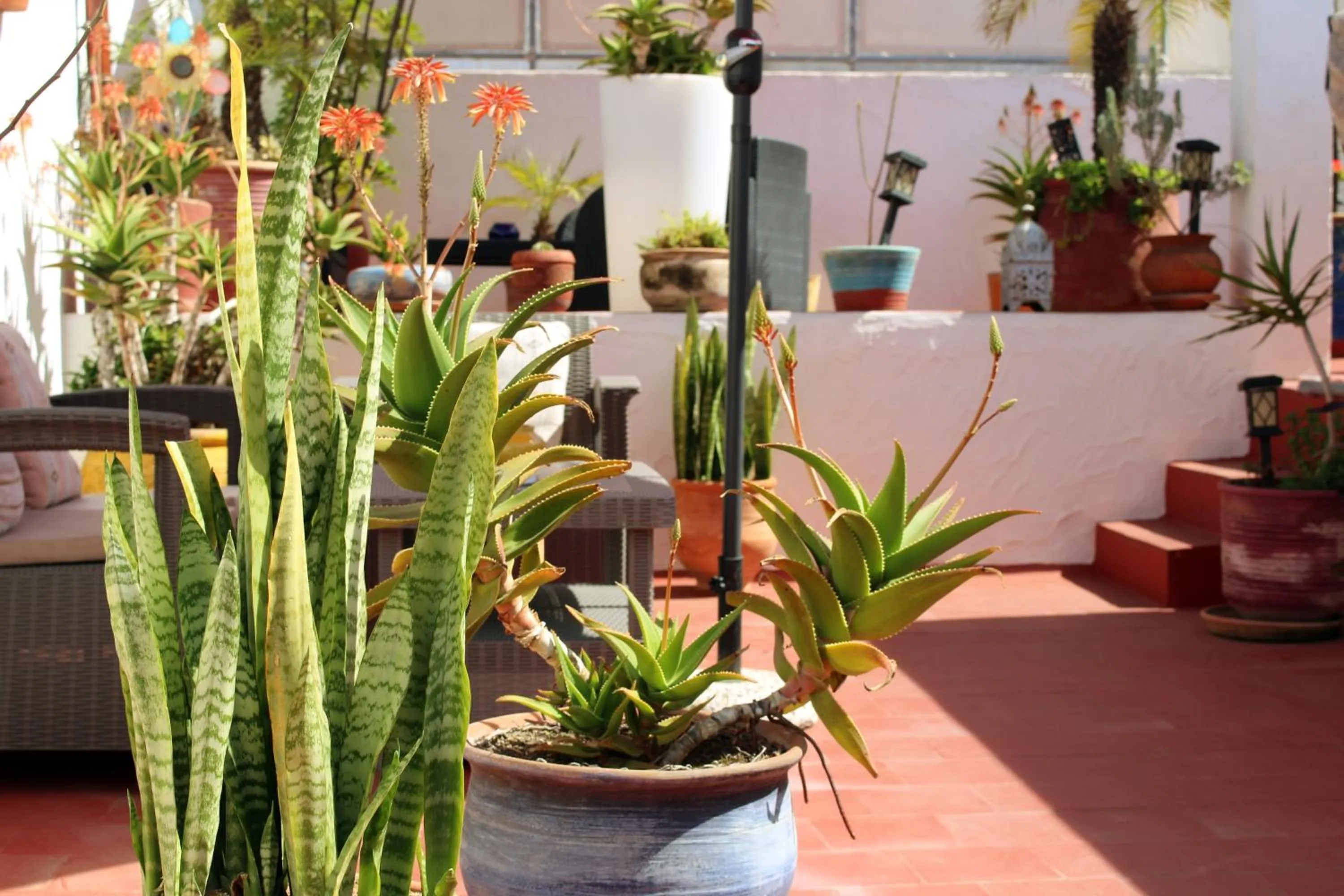 Balcony/Terrace in Riad Meftaha