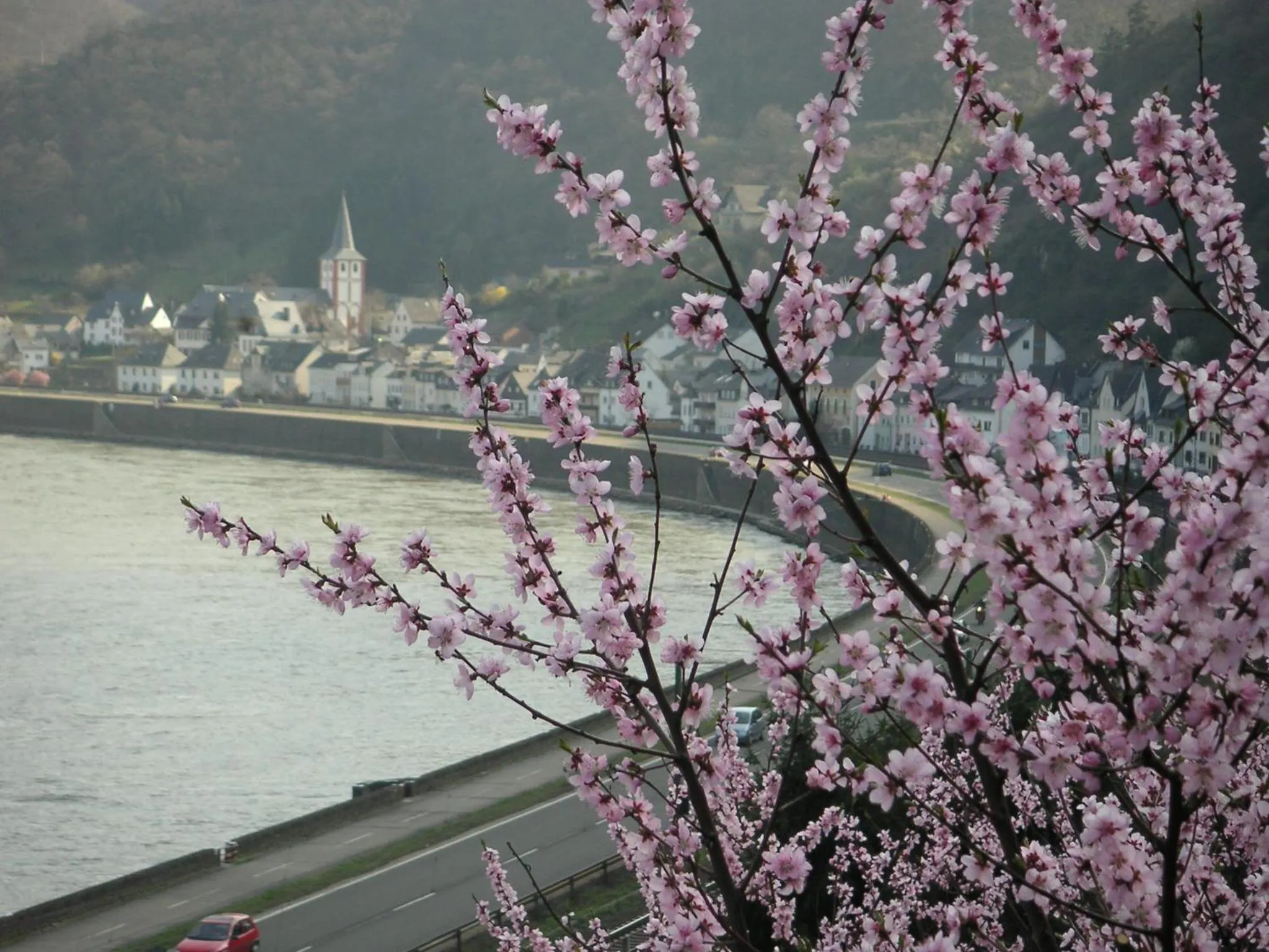 Natural landscape in Gasthaus Zum Rebstock