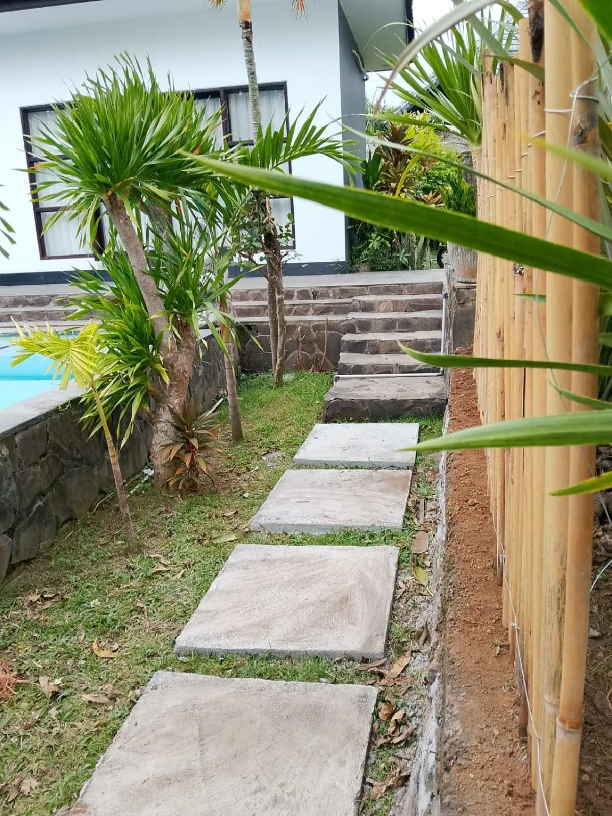 Garden in Lovina villa cinta