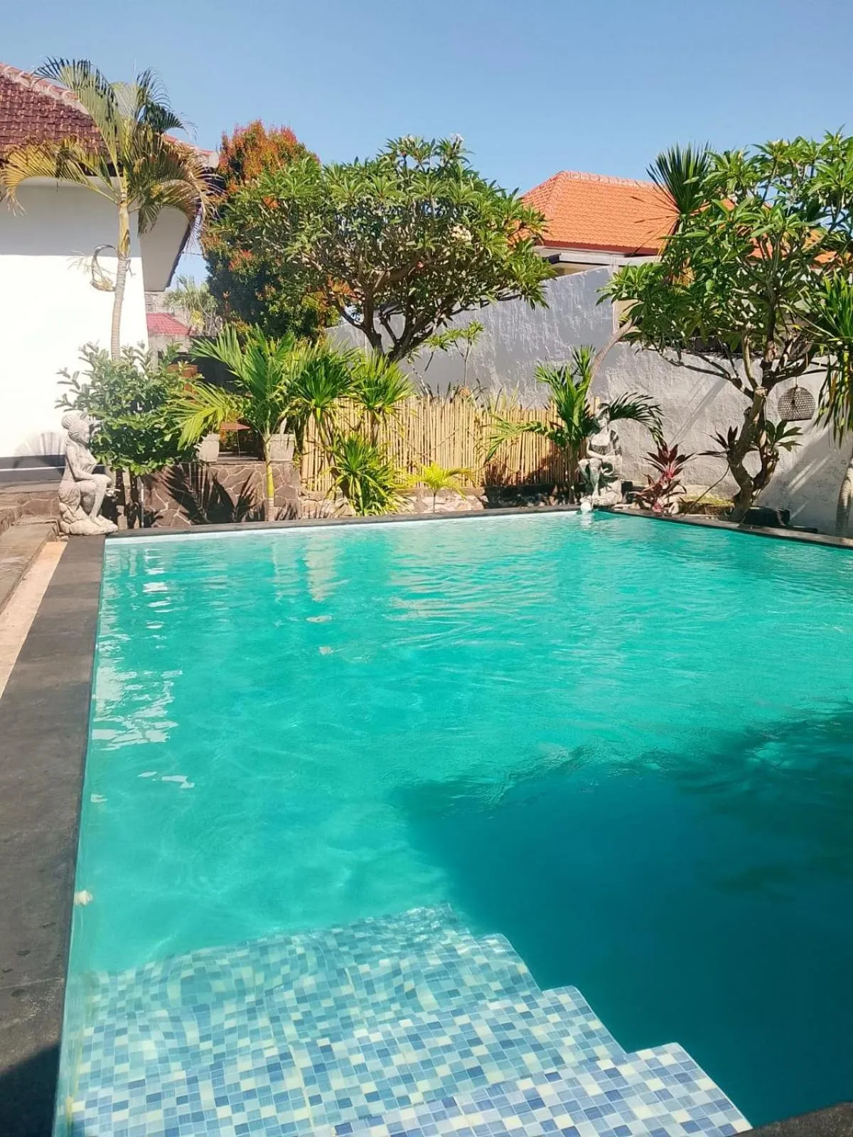 Swimming pool in Lovina villa cinta
