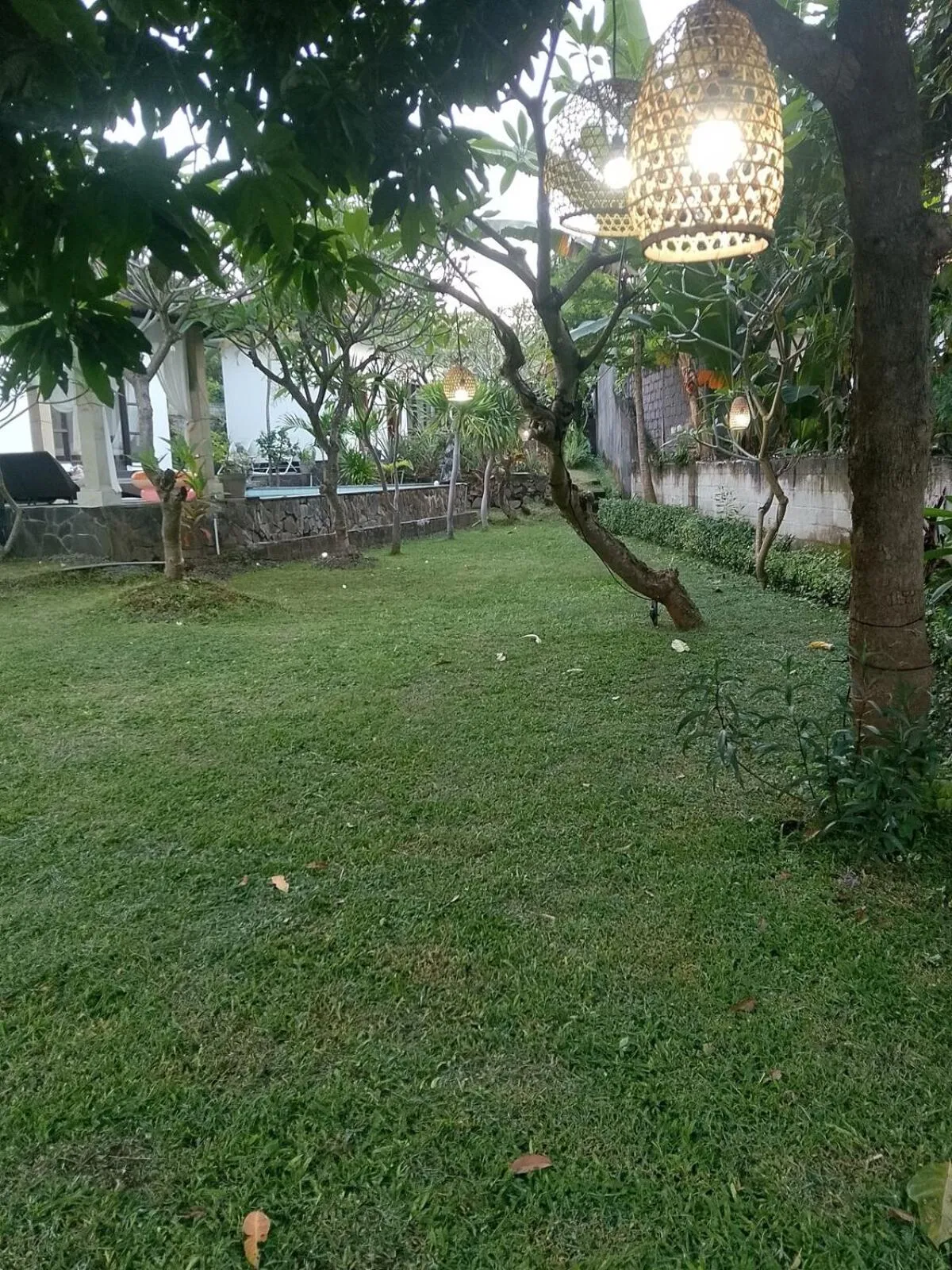 Natural landscape in Lovina villa cinta