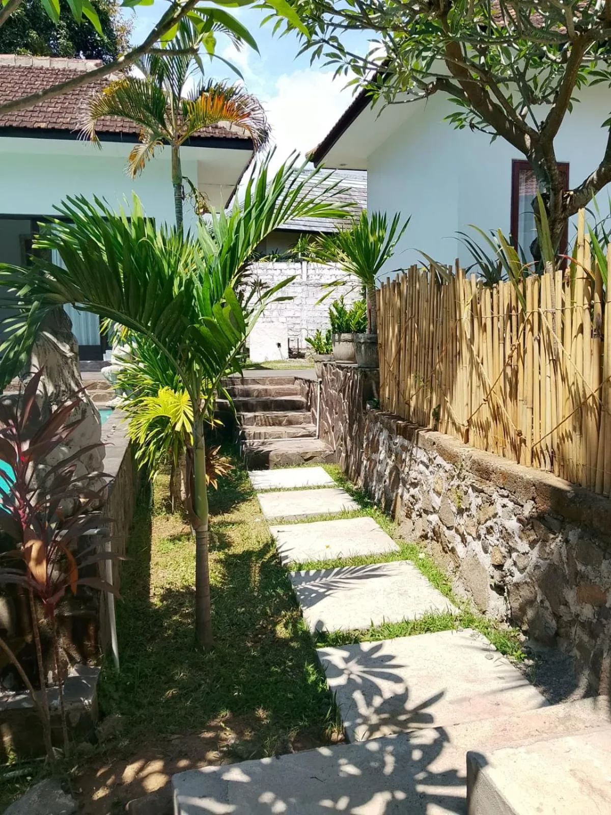 Natural landscape in Lovina villa cinta