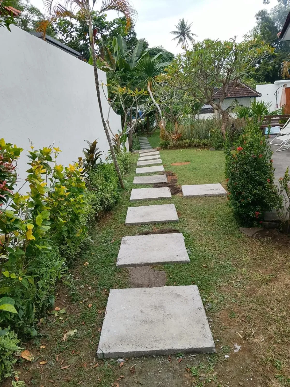 Natural landscape in Lovina villa cinta