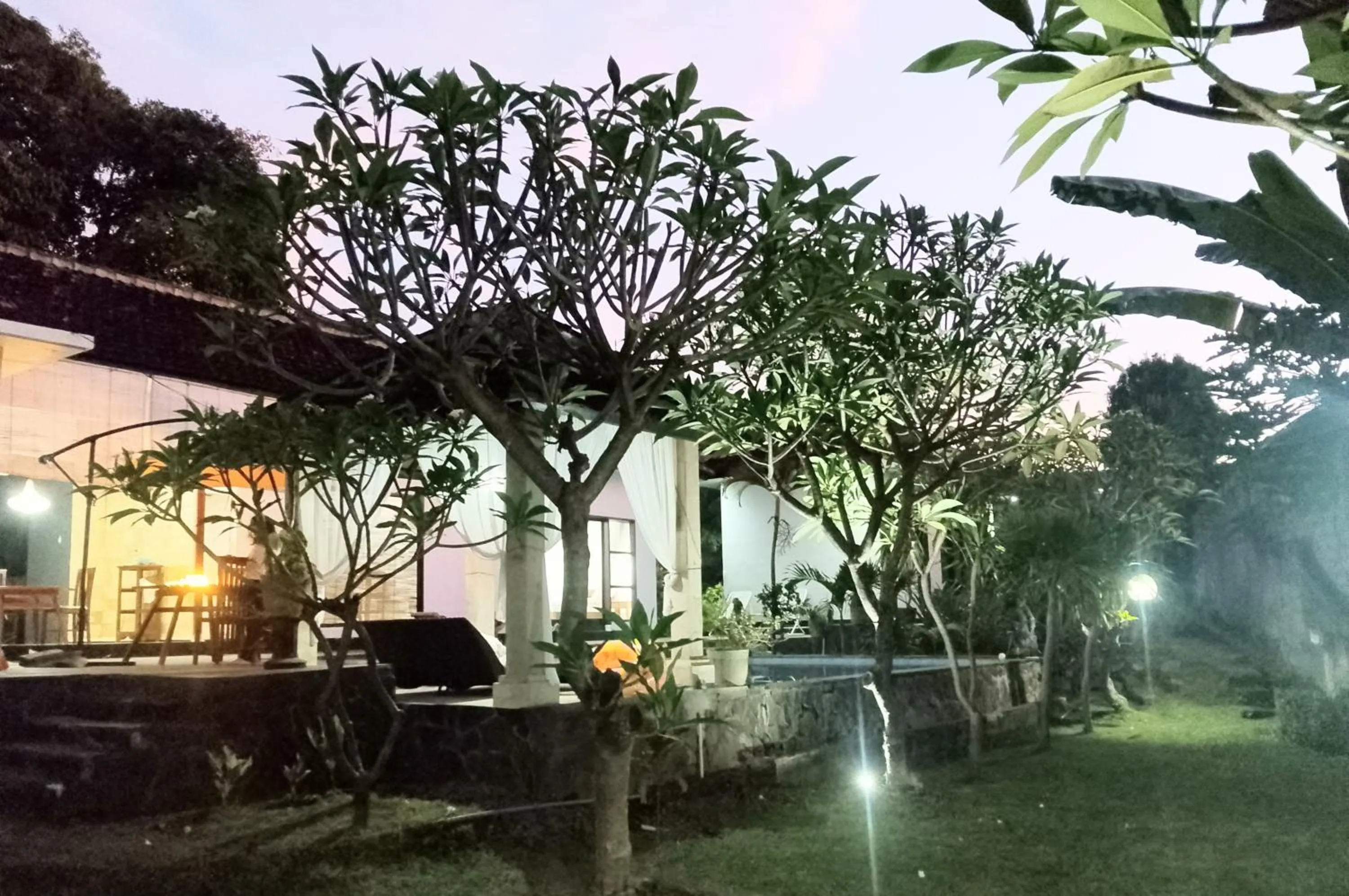 Night in Lovina villa cinta