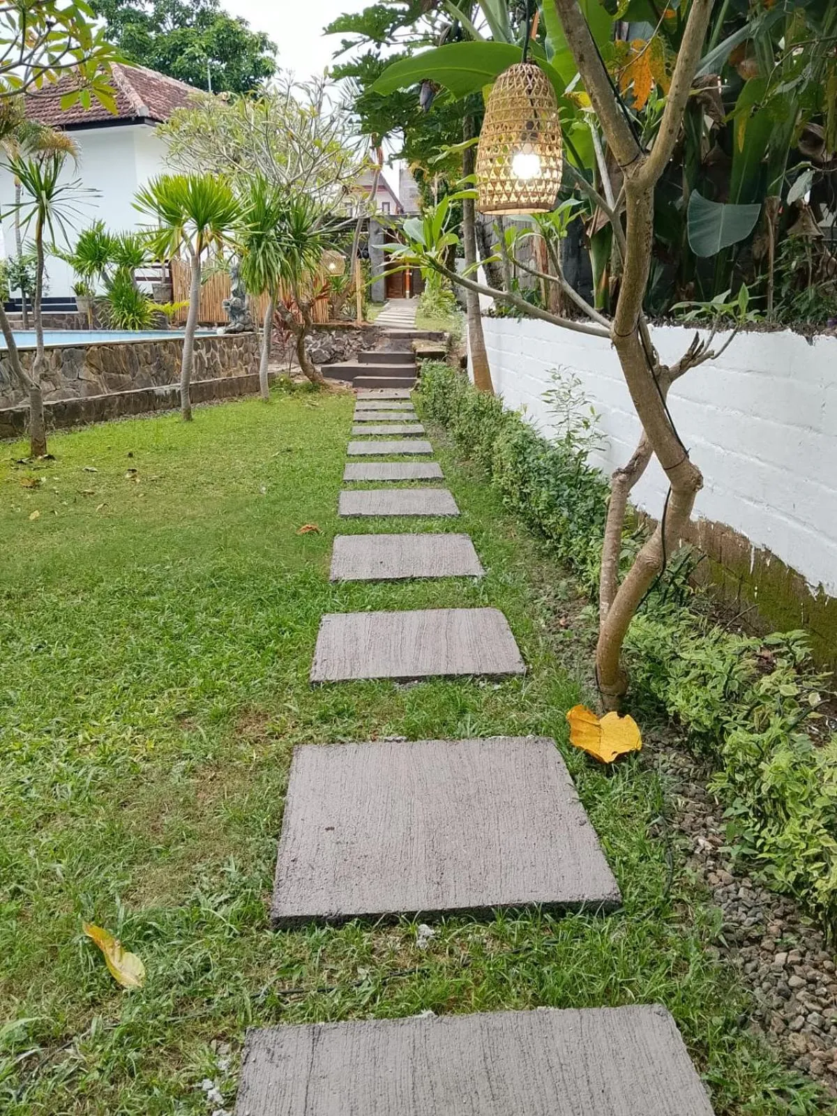 Natural landscape in Lovina villa cinta