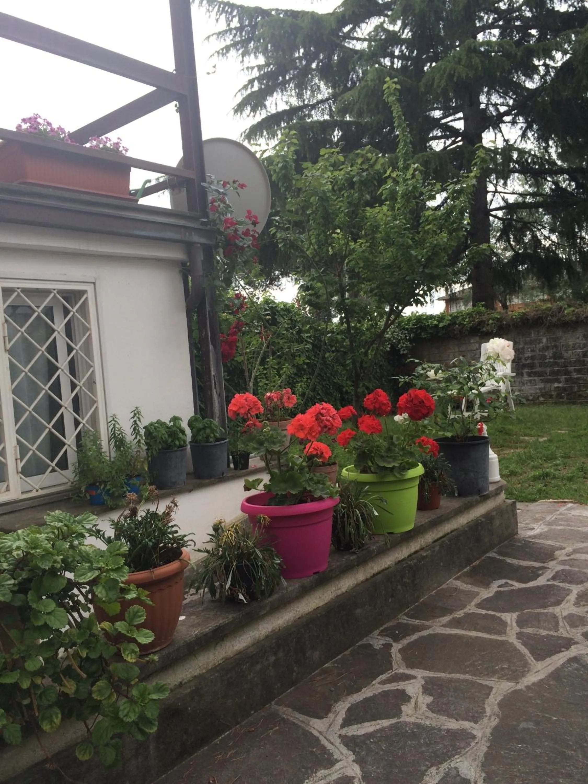 Garden in Apartment Whenlifeisbetter