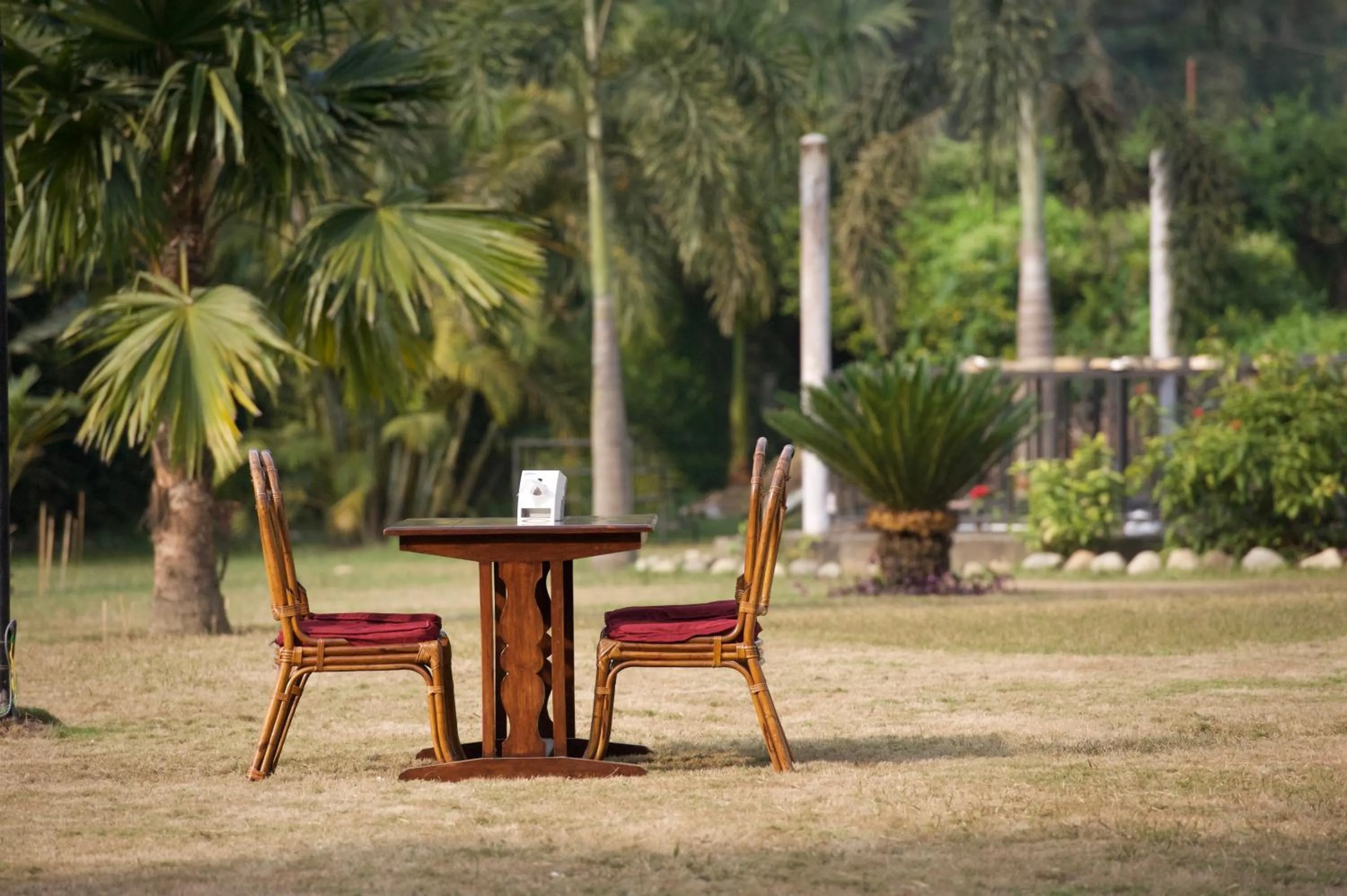 Garden in Siddhartha Hotel Narayangarh