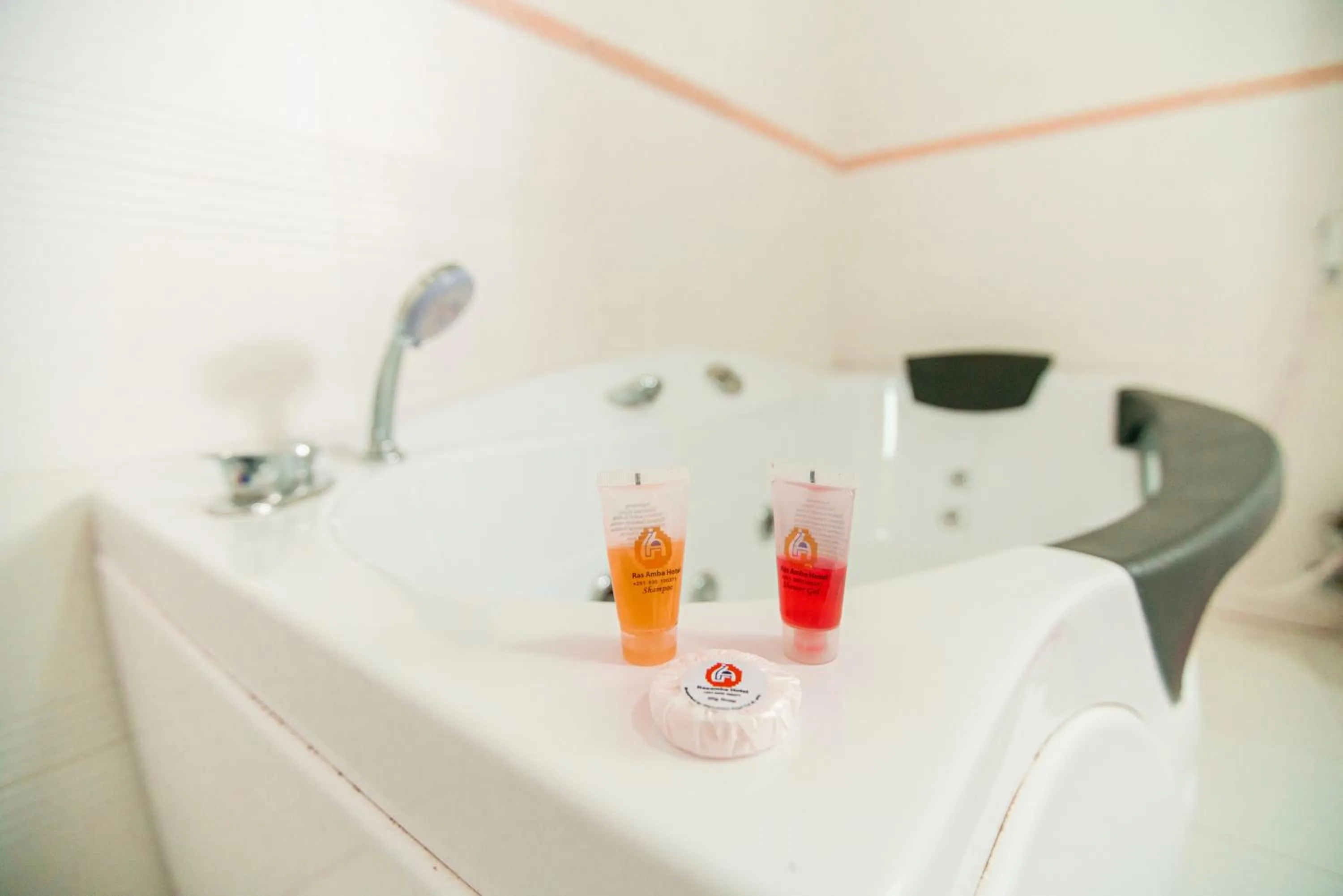 Bathroom in Ras Amba Hotel