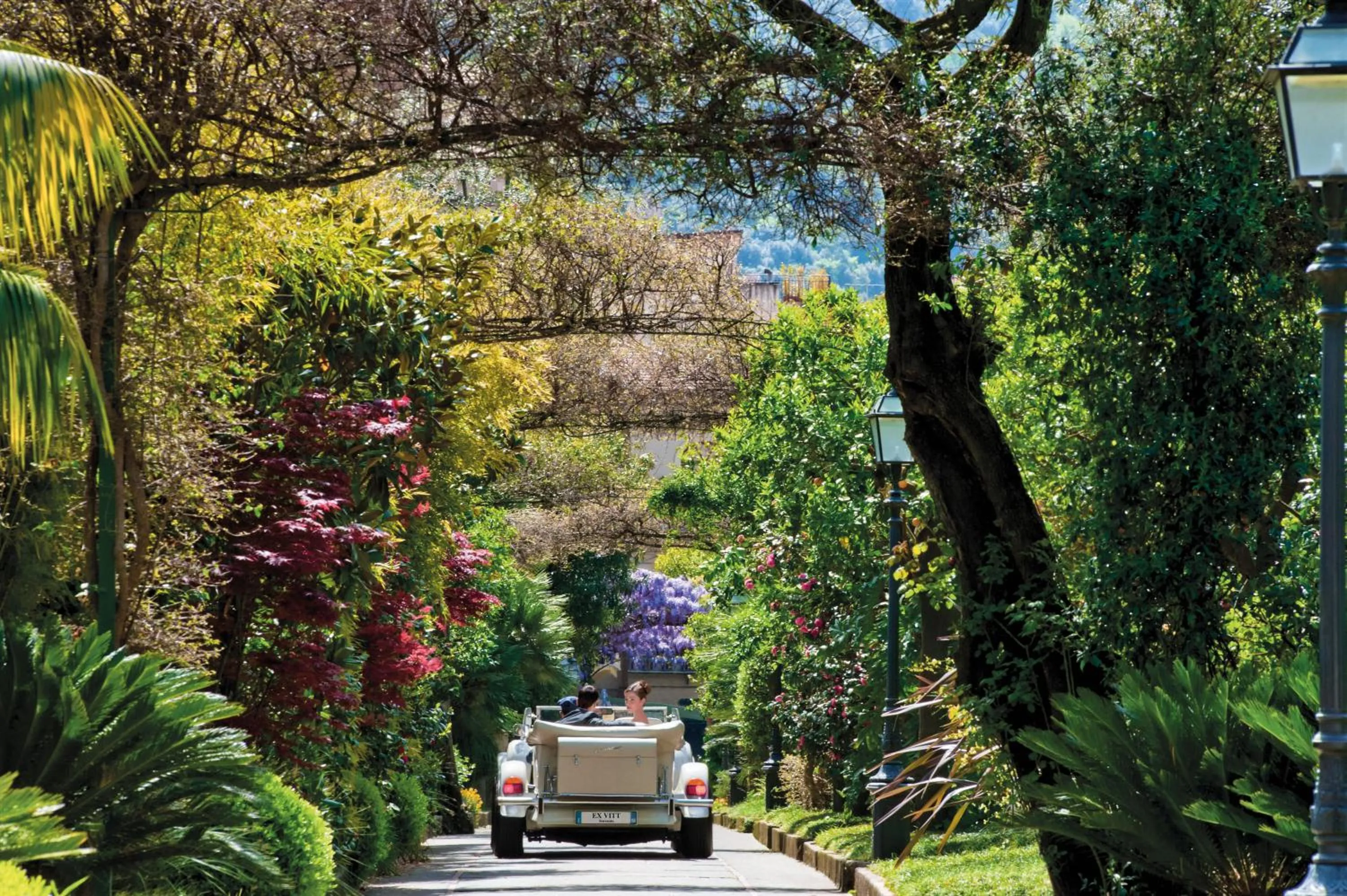 Garden in Grand Hotel Excelsior Vittoria