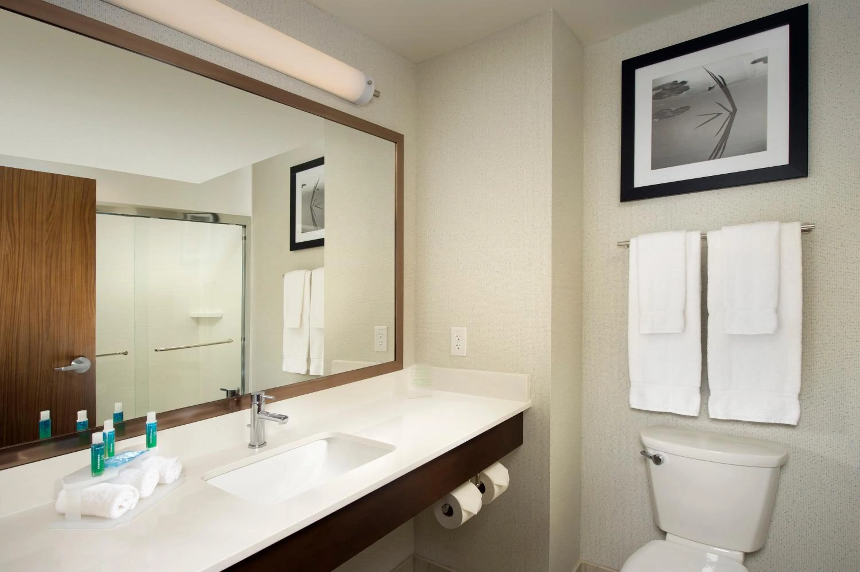 Bathroom in Holiday Inn Express & Suites Bay City by IHG