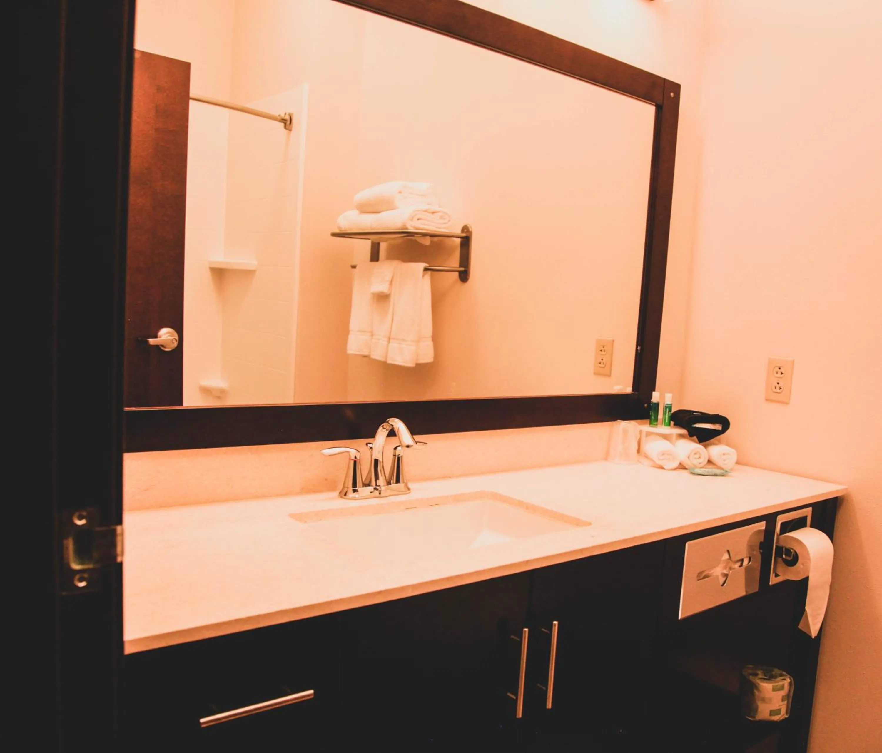 Bathroom in Holiday Inn Express & Suites Cumberland - La Vale by IHG