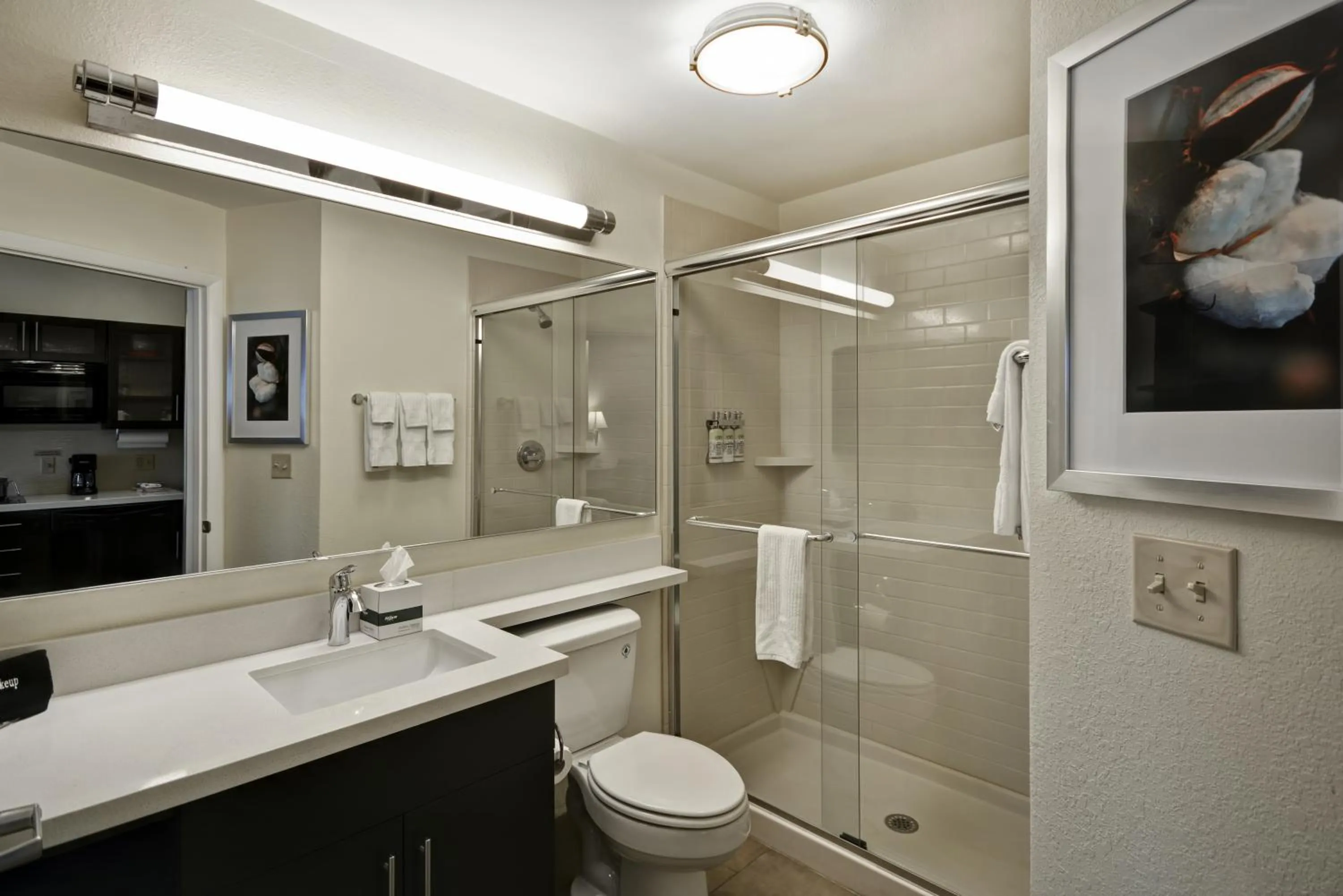 Bathroom in Candlewood Suites Smyrna - Nashville by IHG