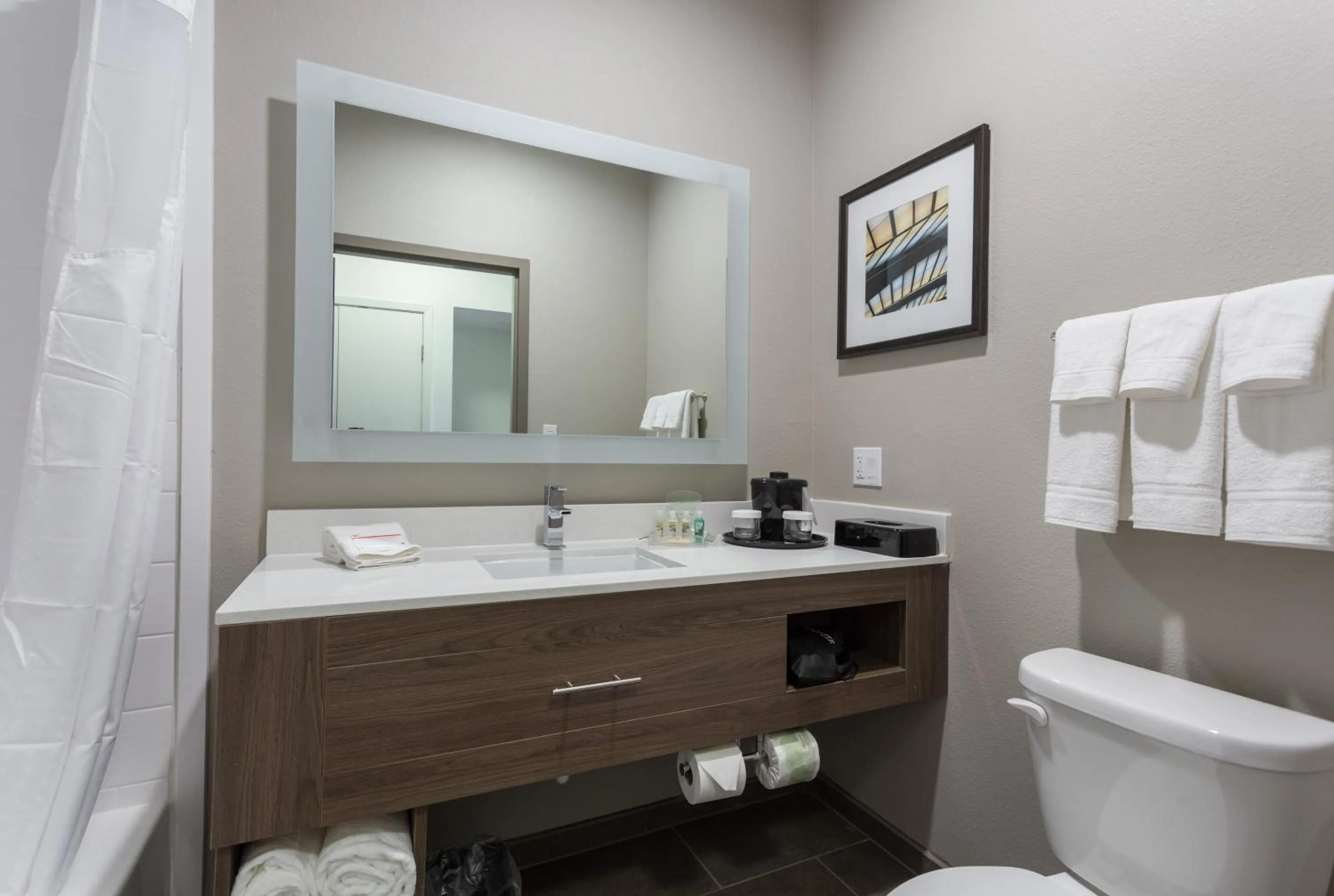 Bathroom in Holiday Inn San Marcos Convention Center by IHG