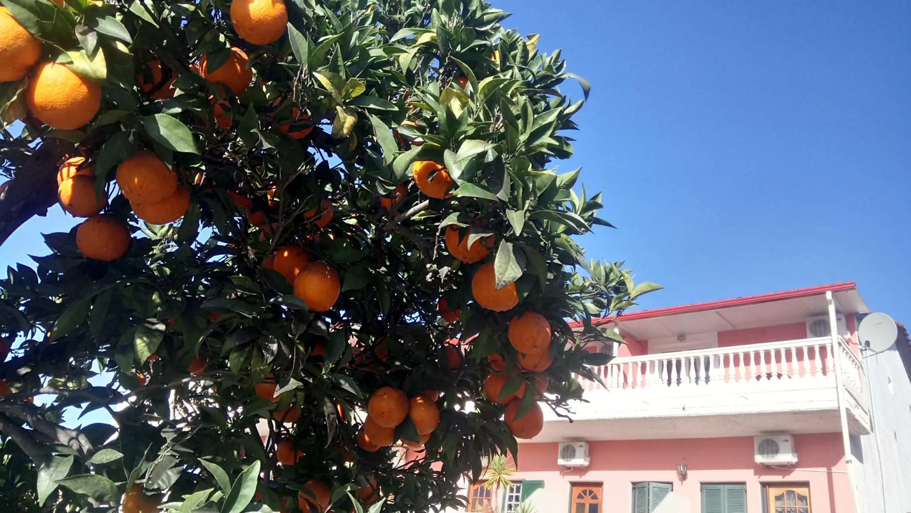 Natural landscape in Flamingo Apartments Moraitika Corfu