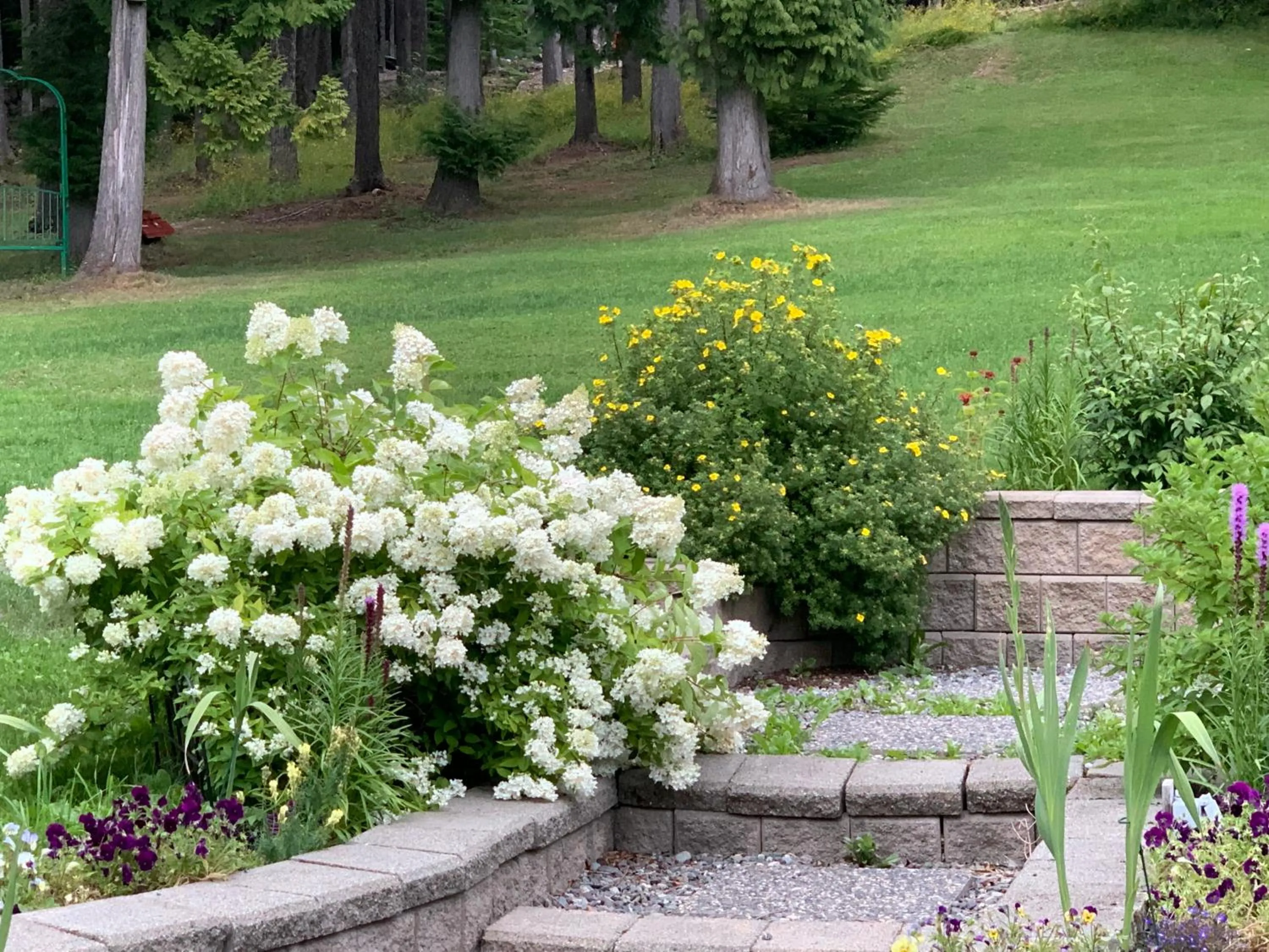 Garden in Remo Ridge Bed N Breakfast