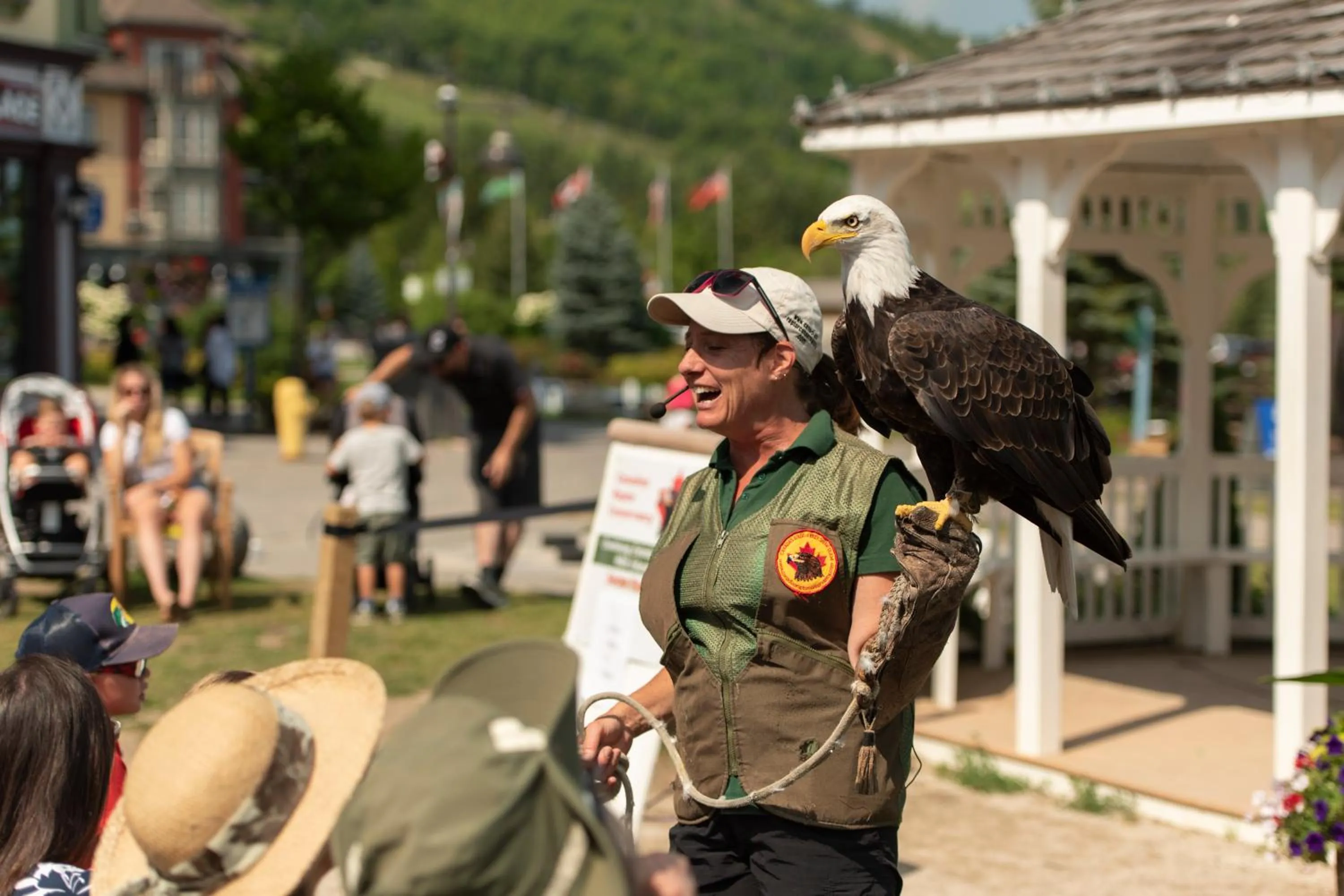 Entertainment in Blue Mountain Resort Village Suites