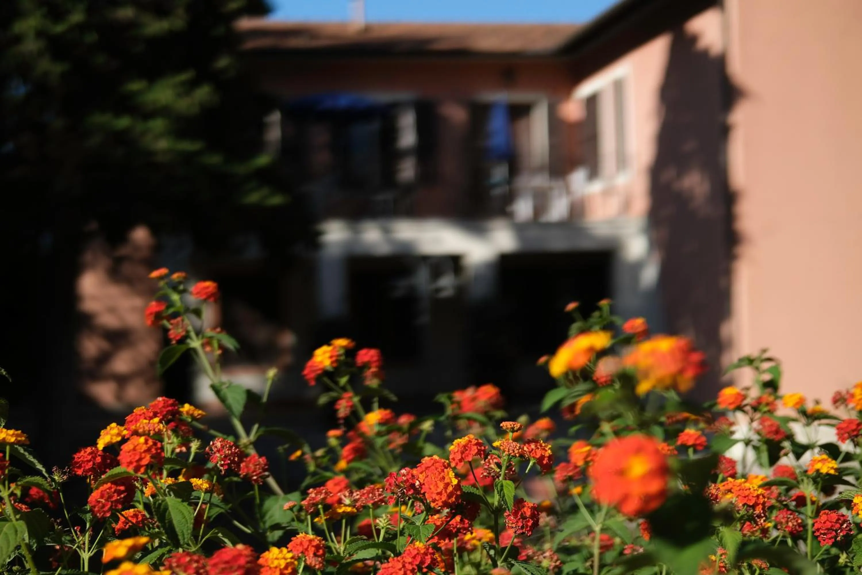 Garden view in Park Hotel Napoleone