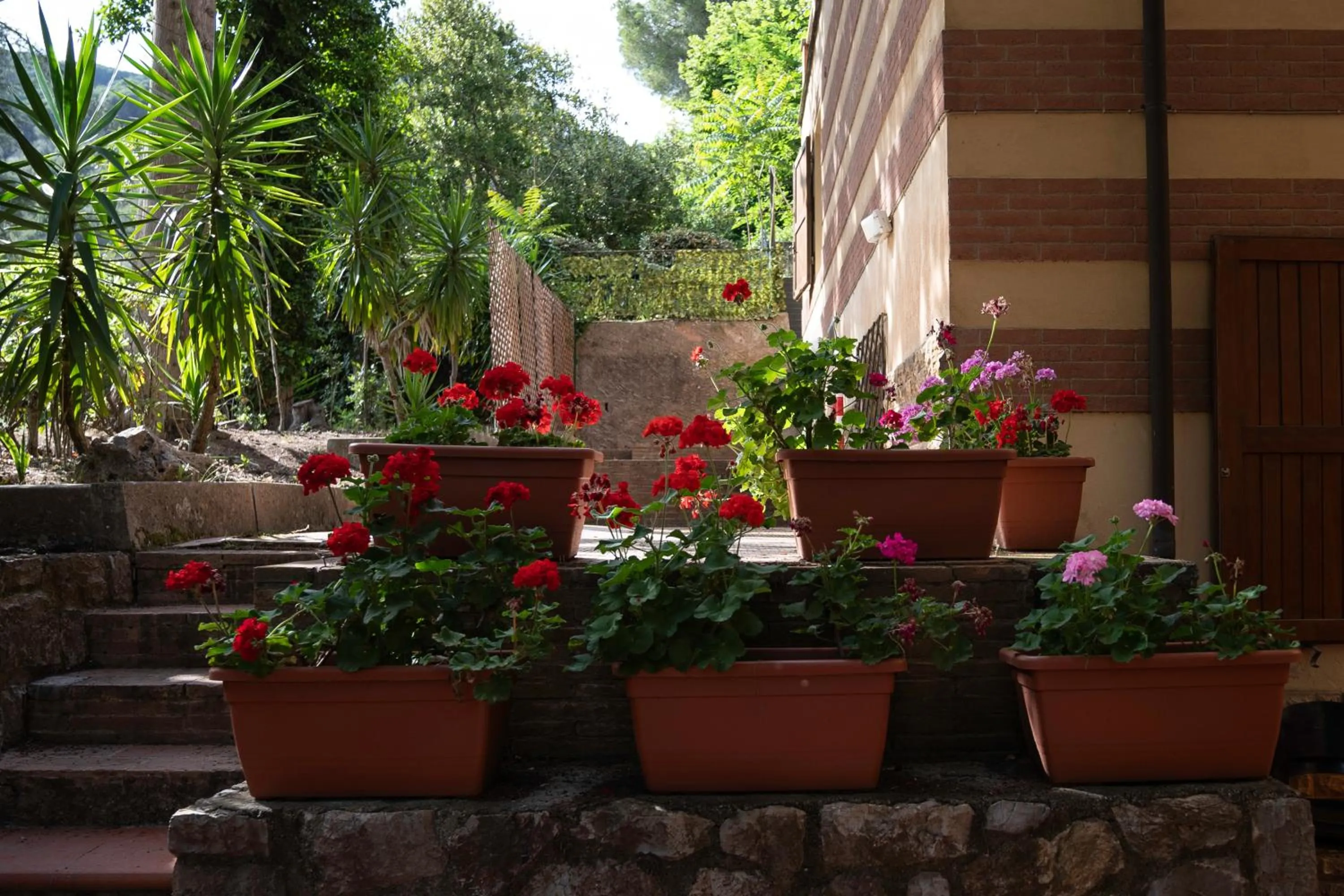 Garden in Park Hotel Napoleone