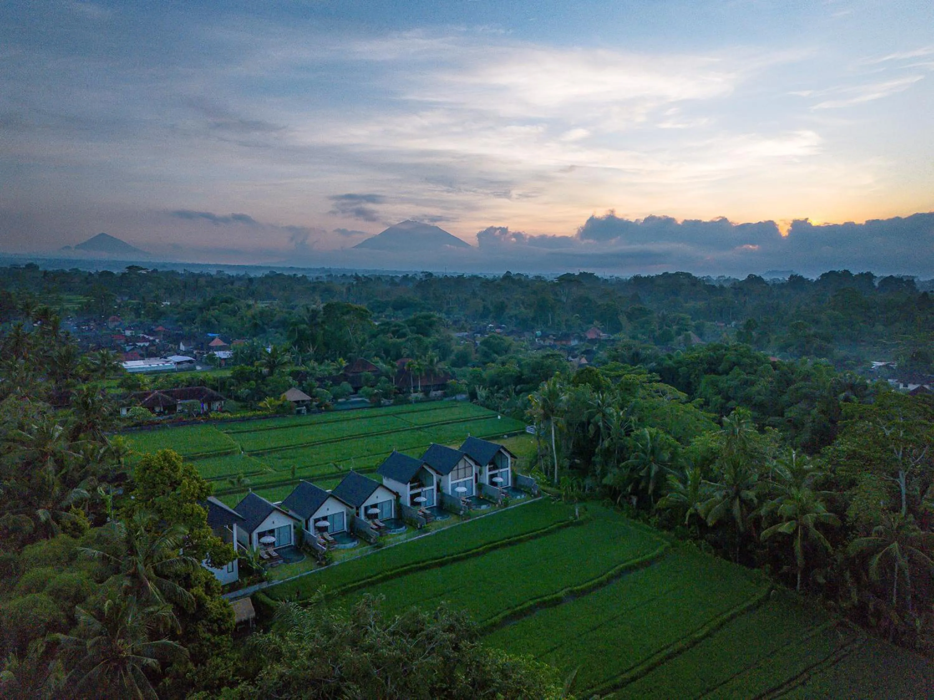Bird's eye view in Ascarya Ubud