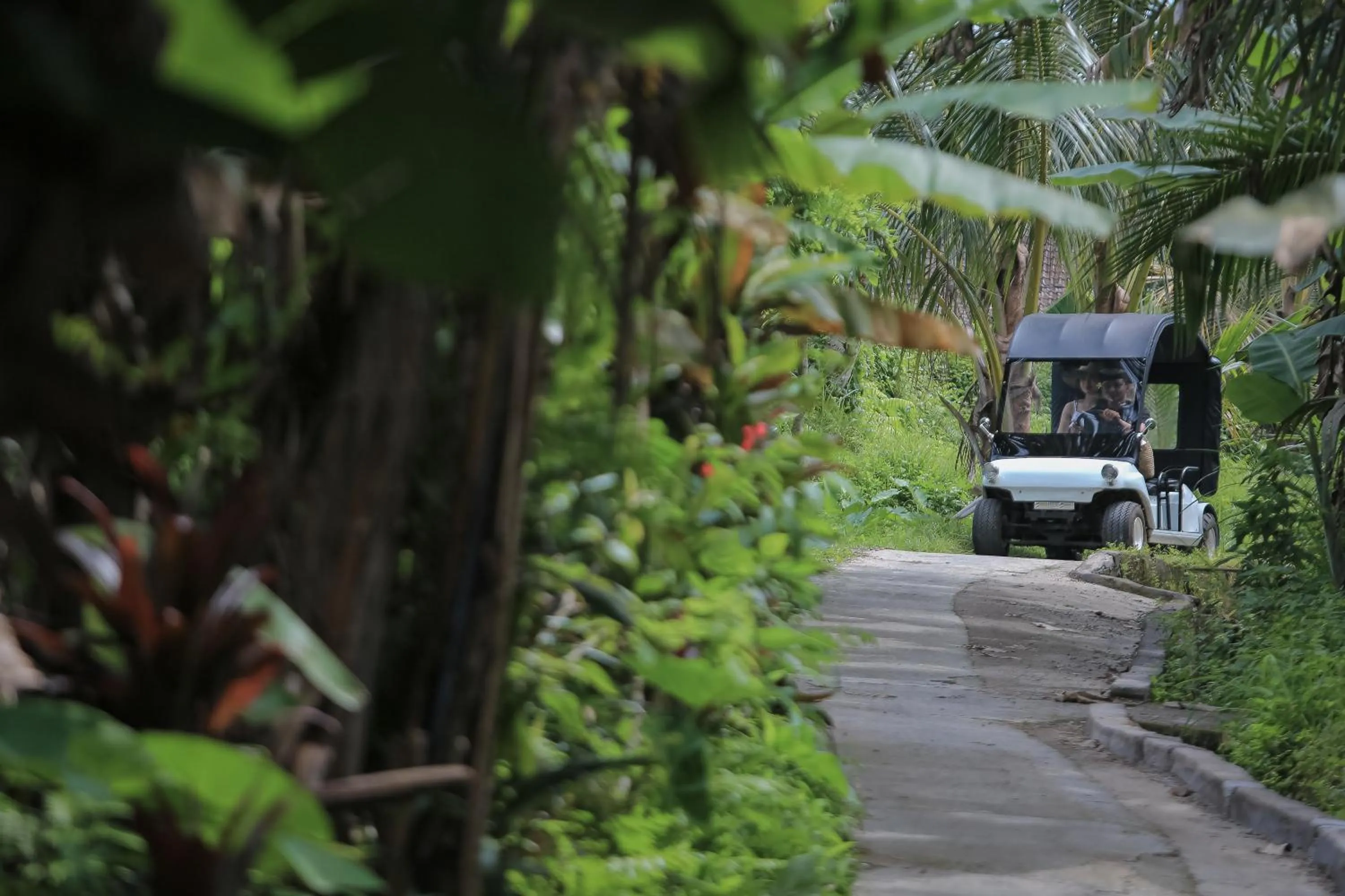 Guests in Ascarya Ubud