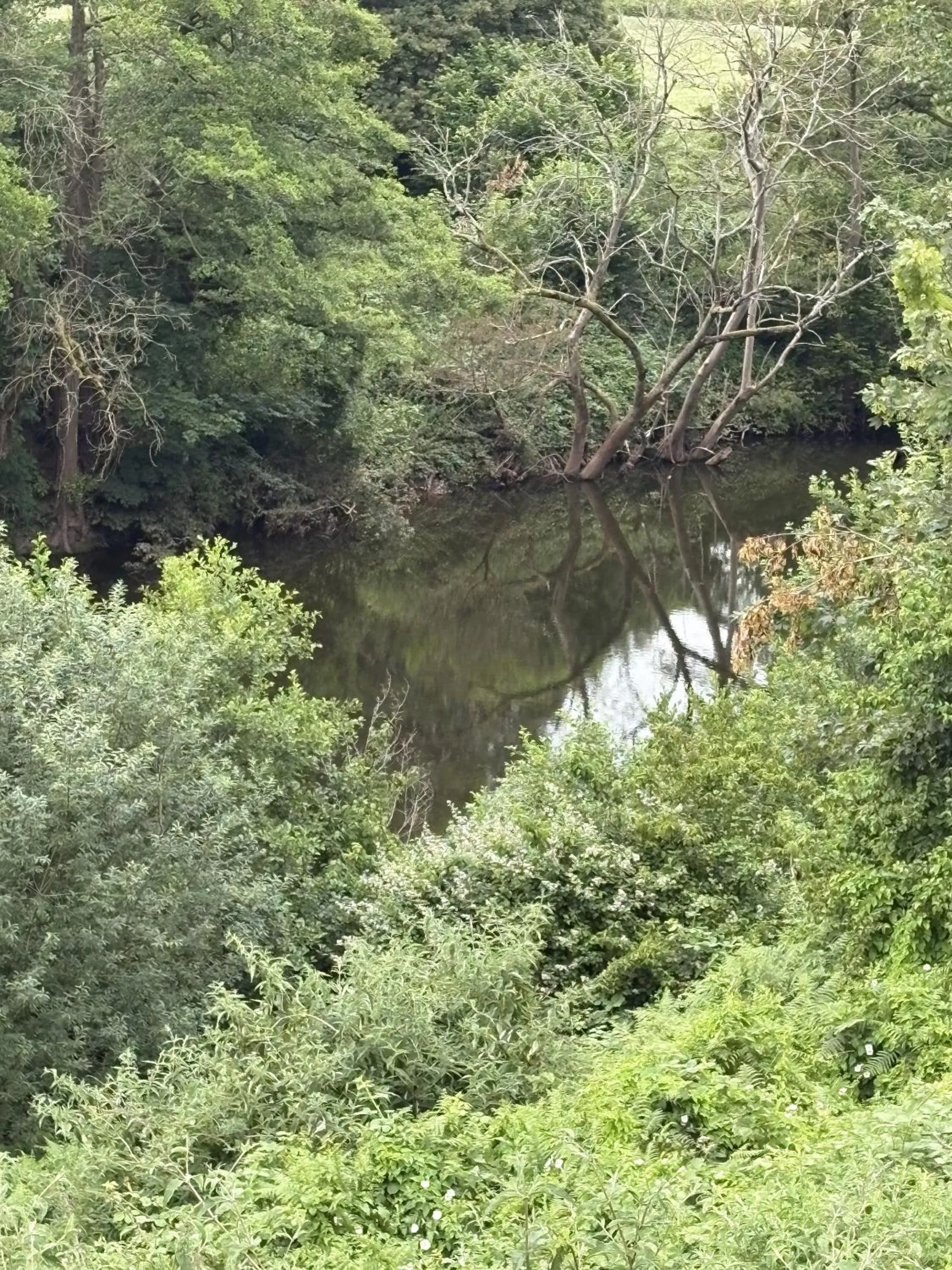 Natural landscape in Roadhouse Llanwenarth