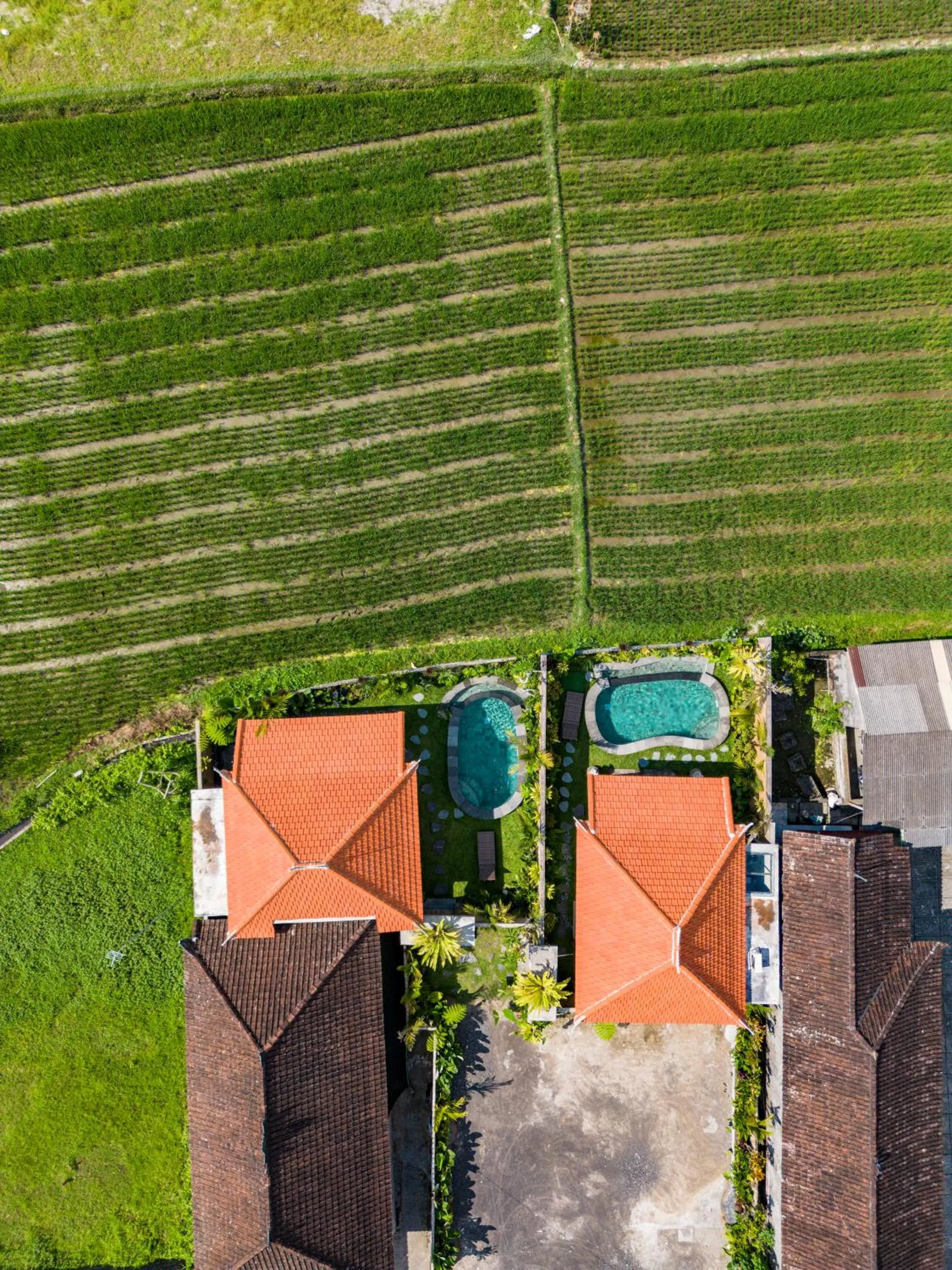Spring in Seelong Villa Ubud by Dhananjaya Hospitality