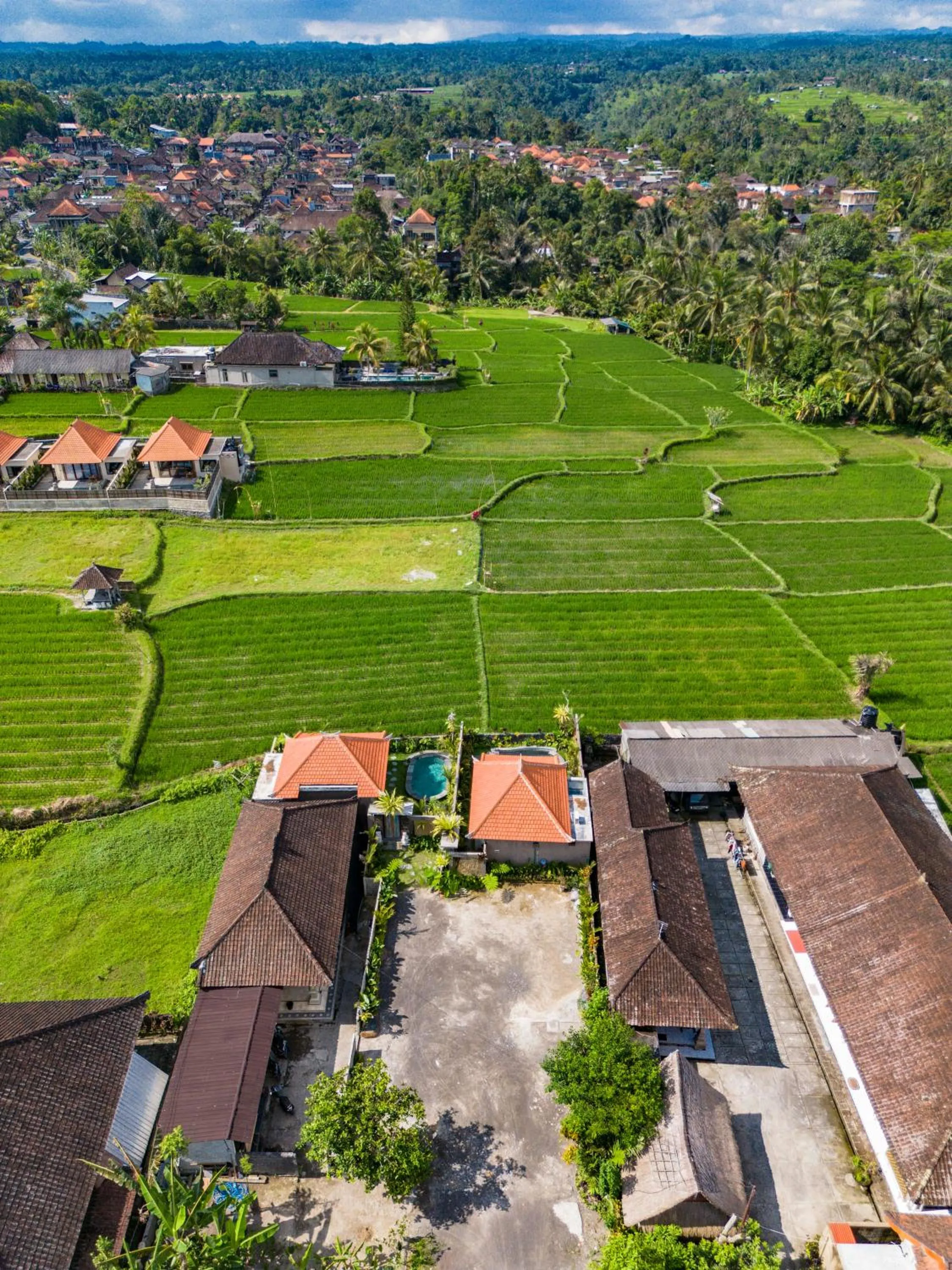 Spring in Seelong Villa Ubud by Dhananjaya Hospitality