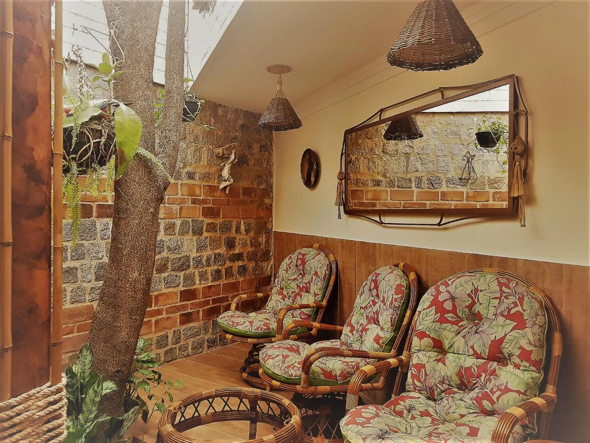 Area and facilities in Pousada Terra Garrida