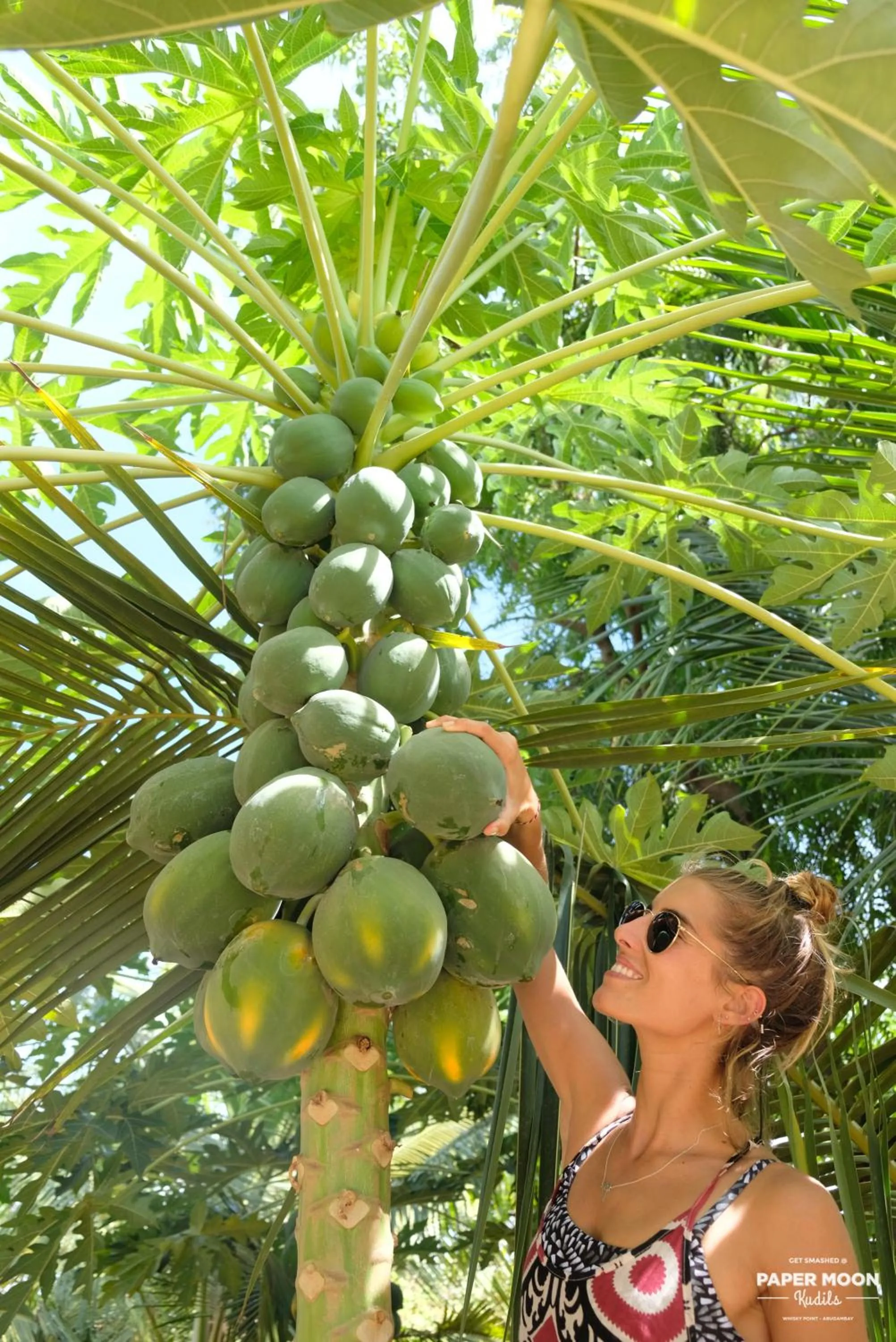 Garden in Paper Moon Kudils