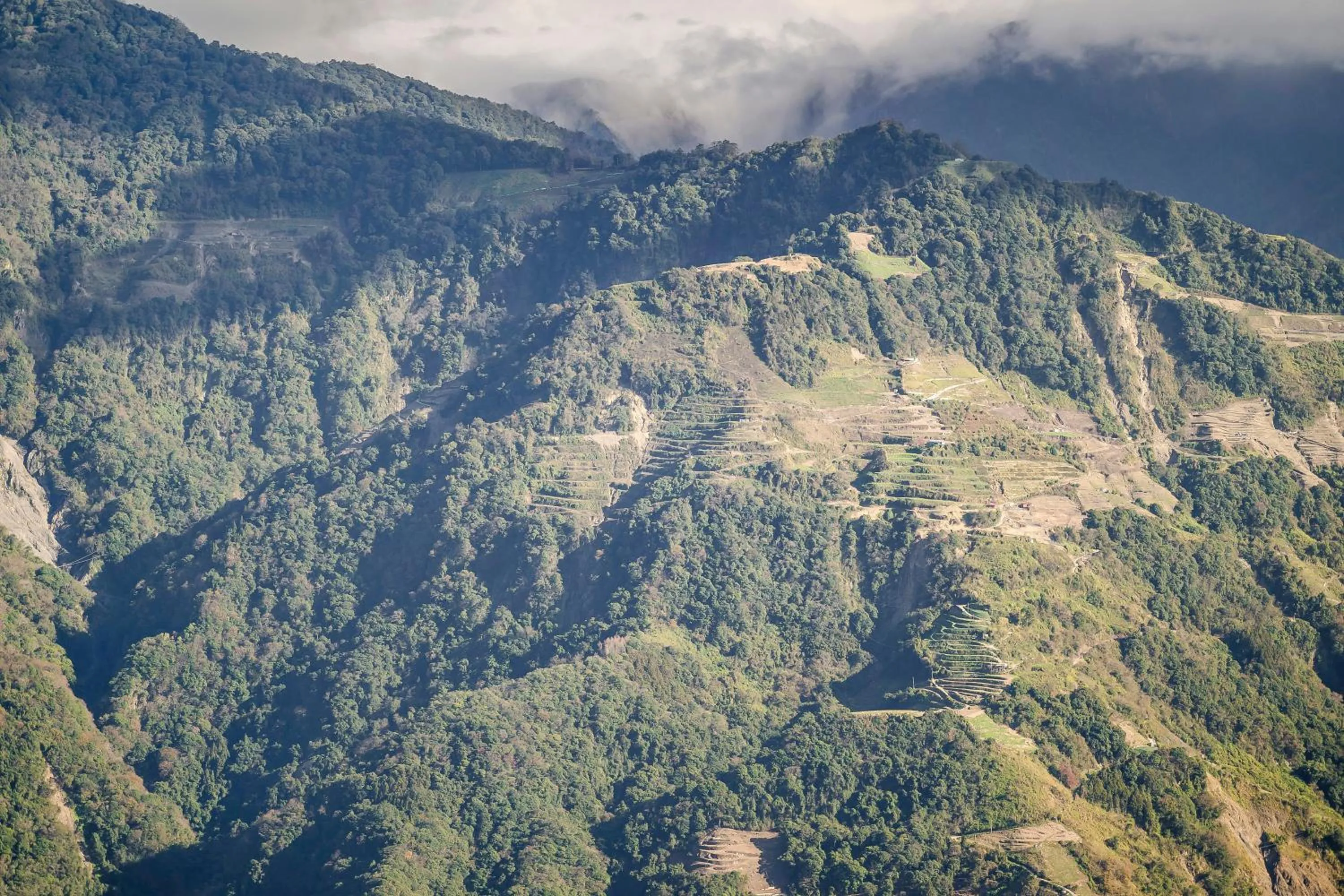 Mountain view in Chingjing New Paradise B&B