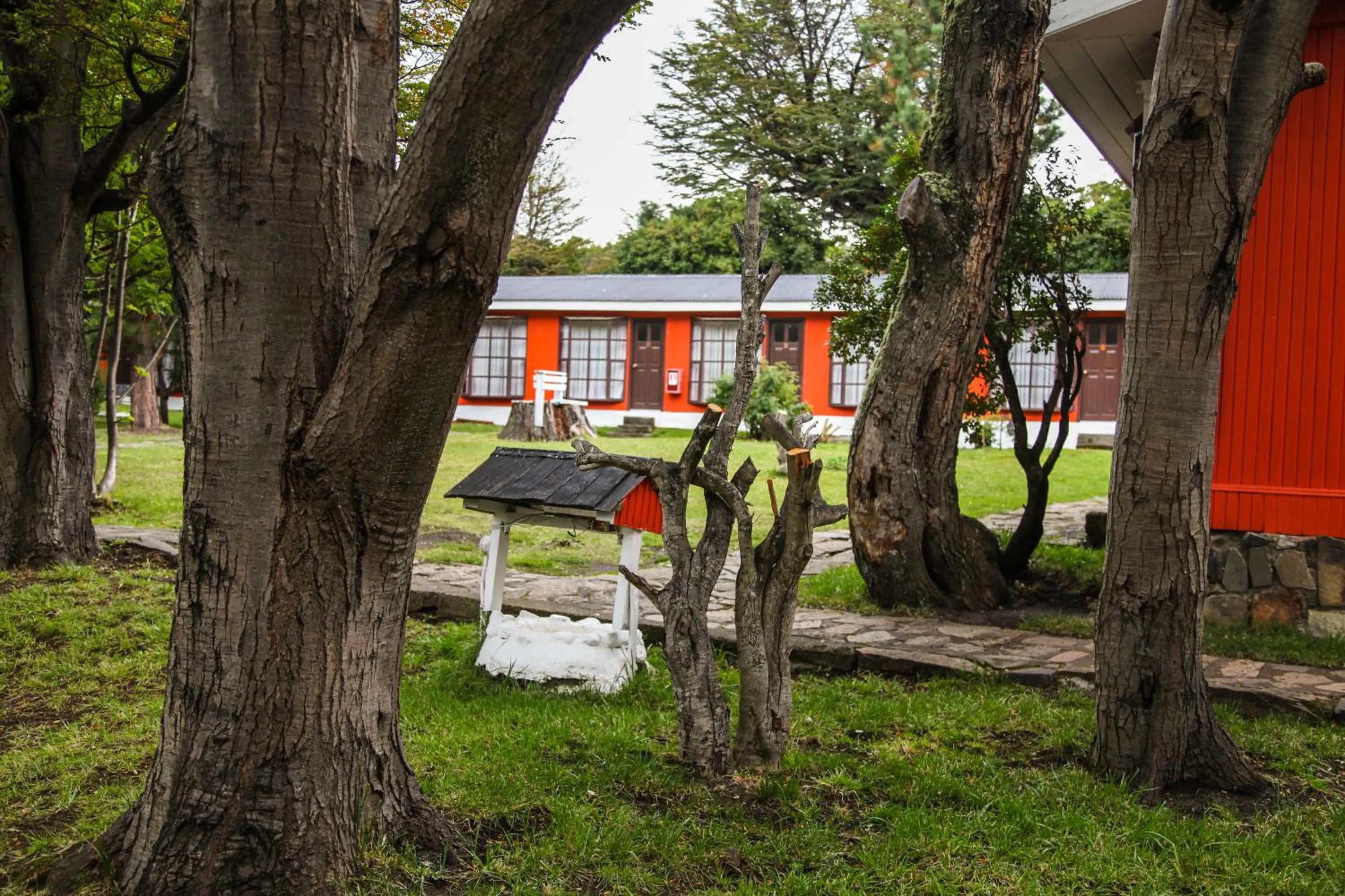 Natural landscape in Hostería Pehoe