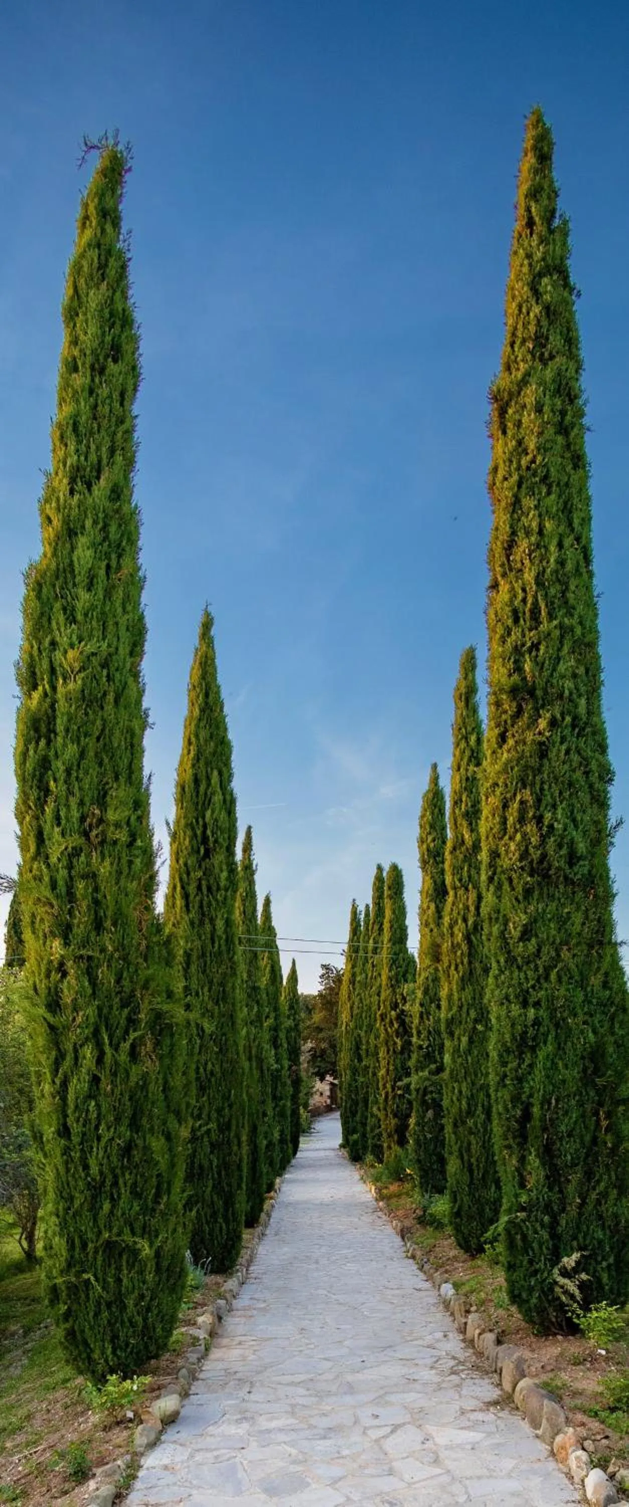 Property building in Borgo Laticastelli