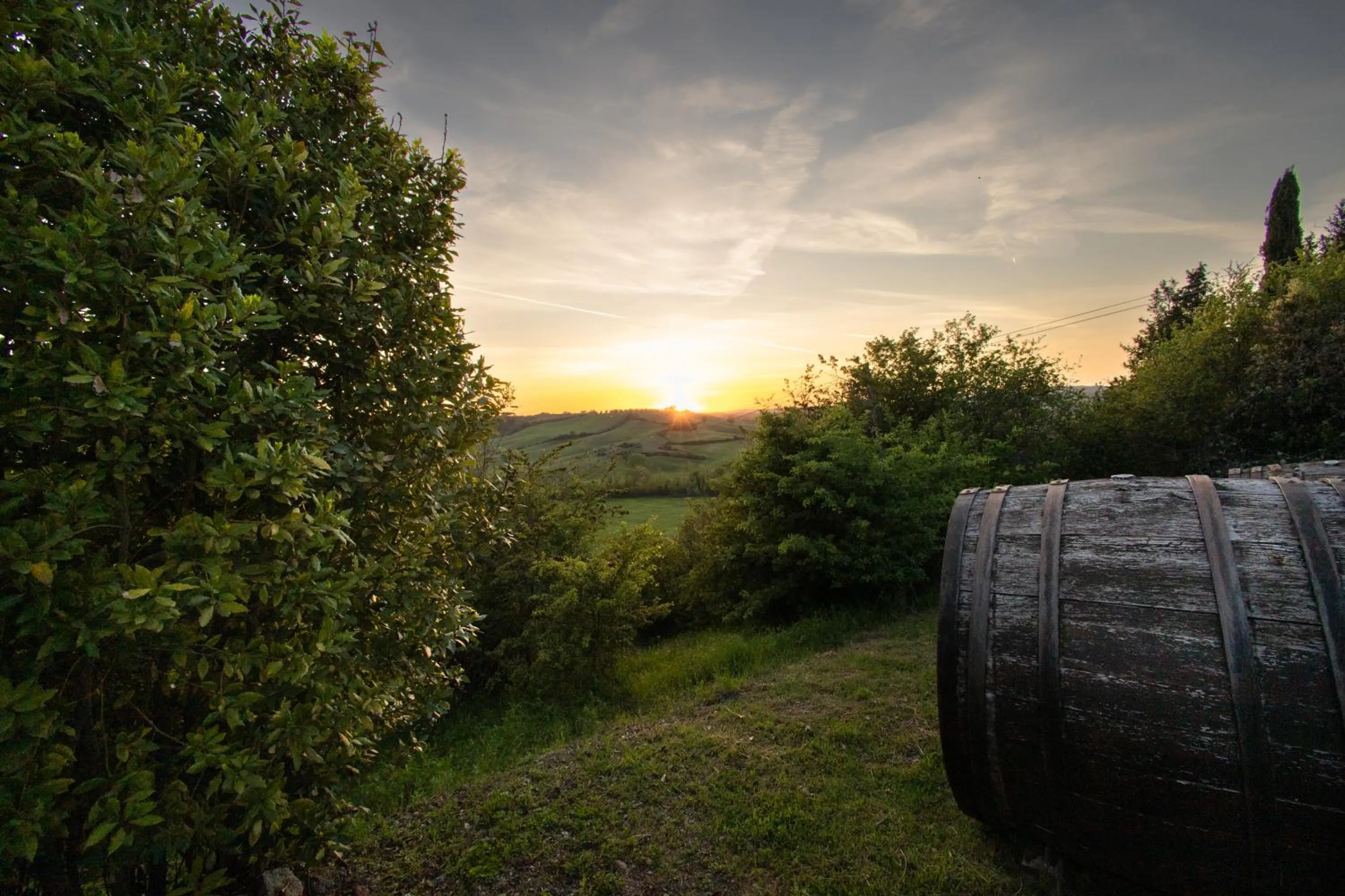 Garden in Borgo Laticastelli