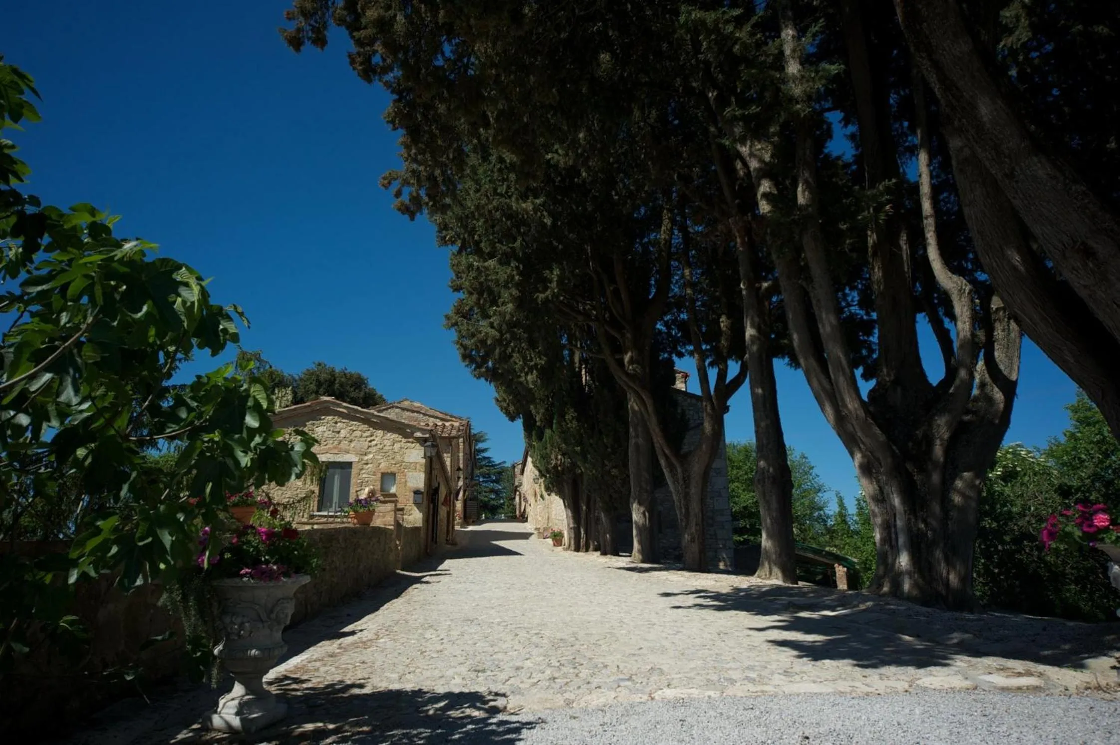 Garden in Borgo Laticastelli