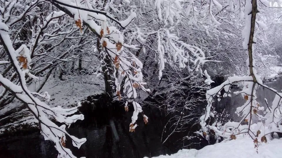 Natural landscape in The Burnside
