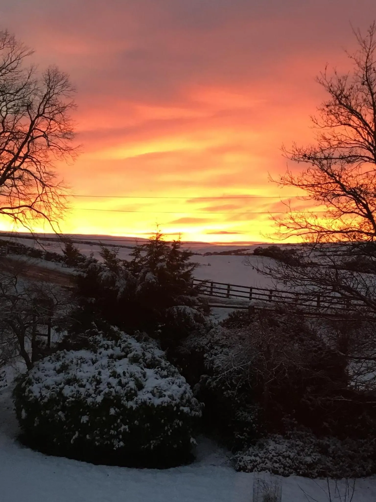 Garden in The Burnside
