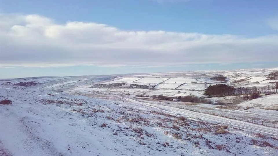 Neighbourhood in The Burnside