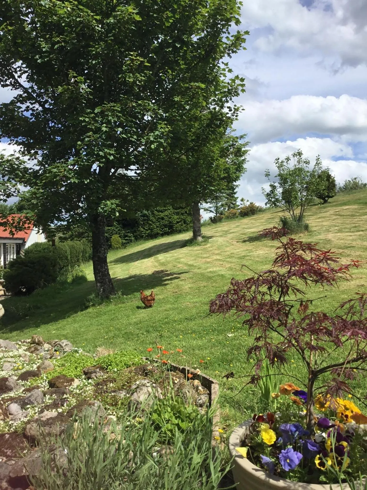 Other in The Burnside