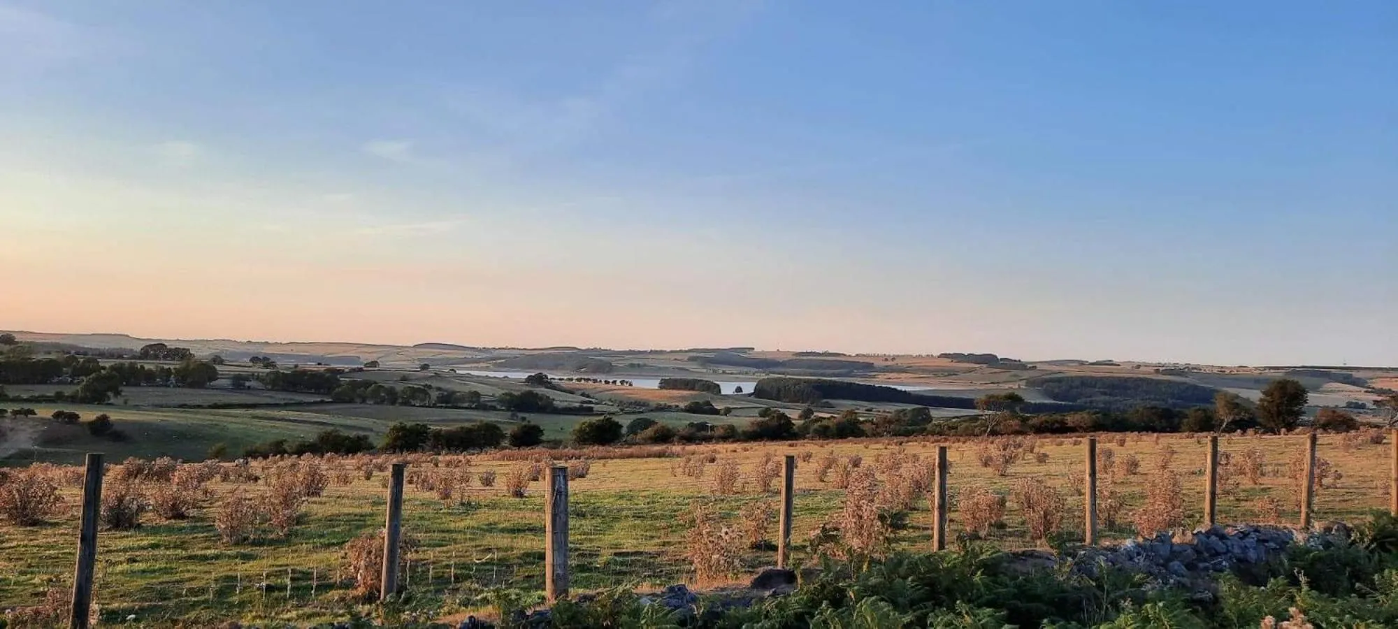 Neighbourhood in The Burnside