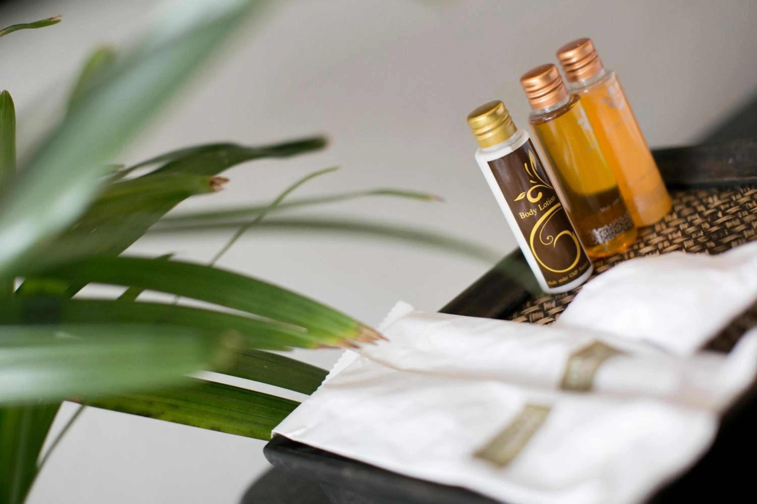 Area and facilities in The Desiign Hotel - SHA