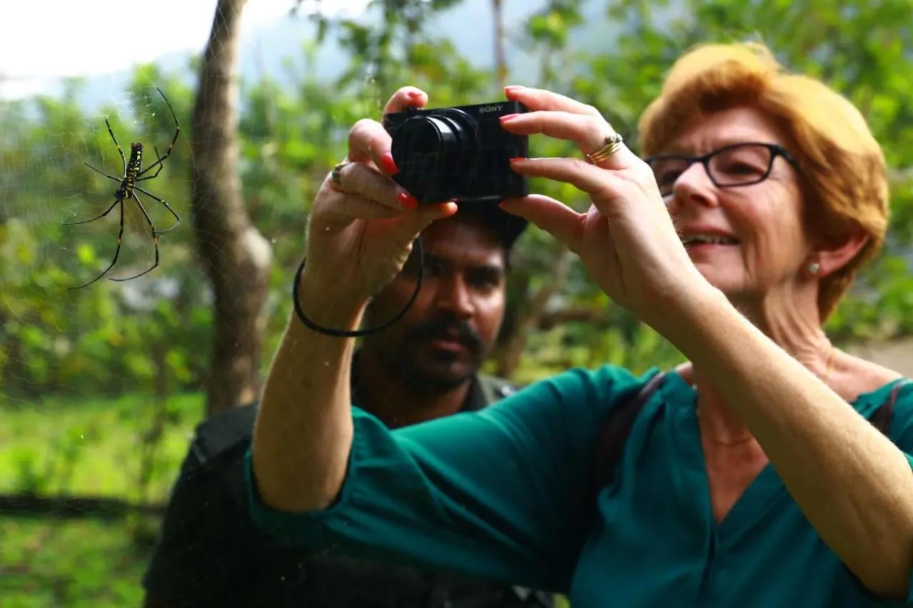 Natural landscape in Quadriya Palace