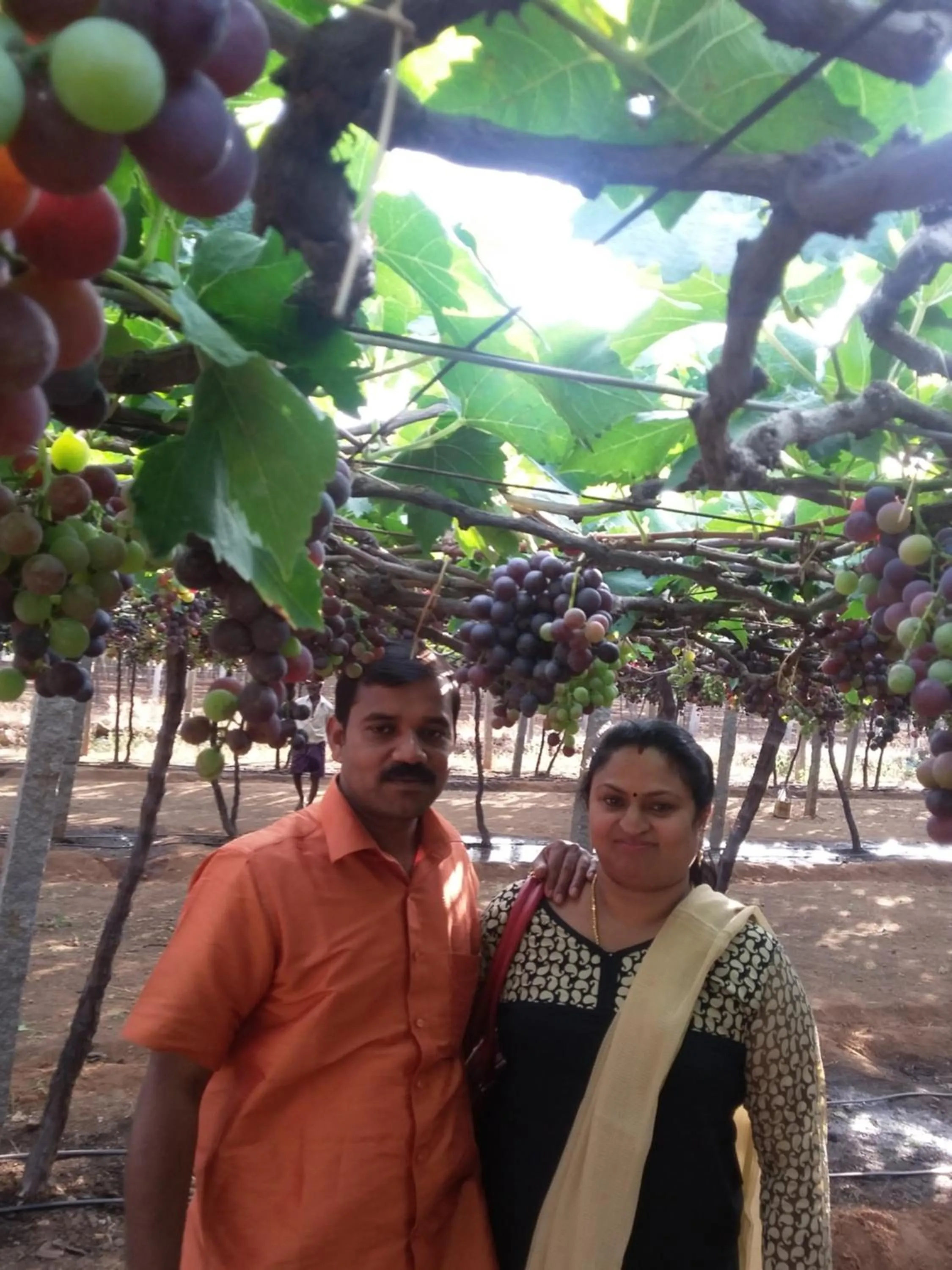 Area and facilities in Quadriya Palace