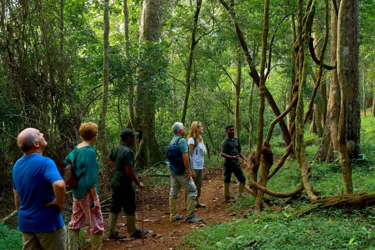 Natural landscape in Quadriya Palace