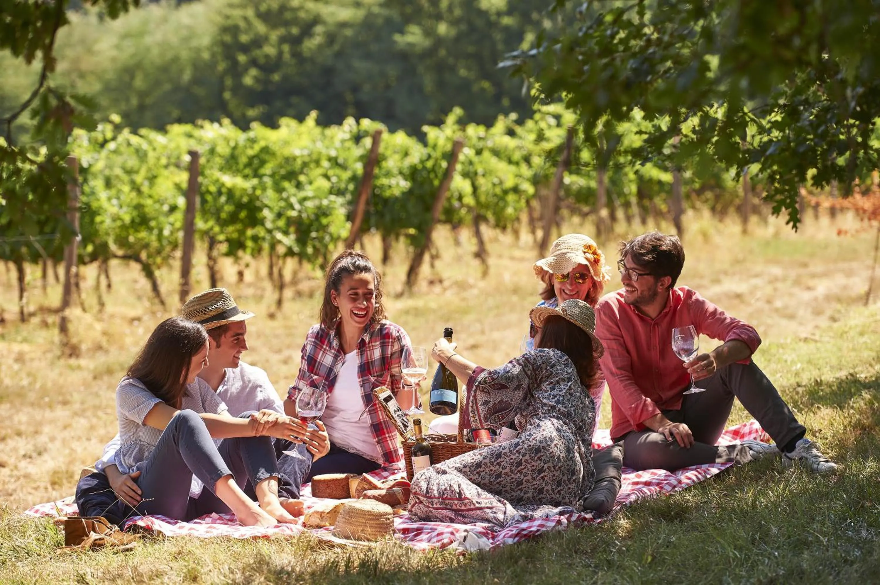 Activities in Villa Medicea di Lilliano