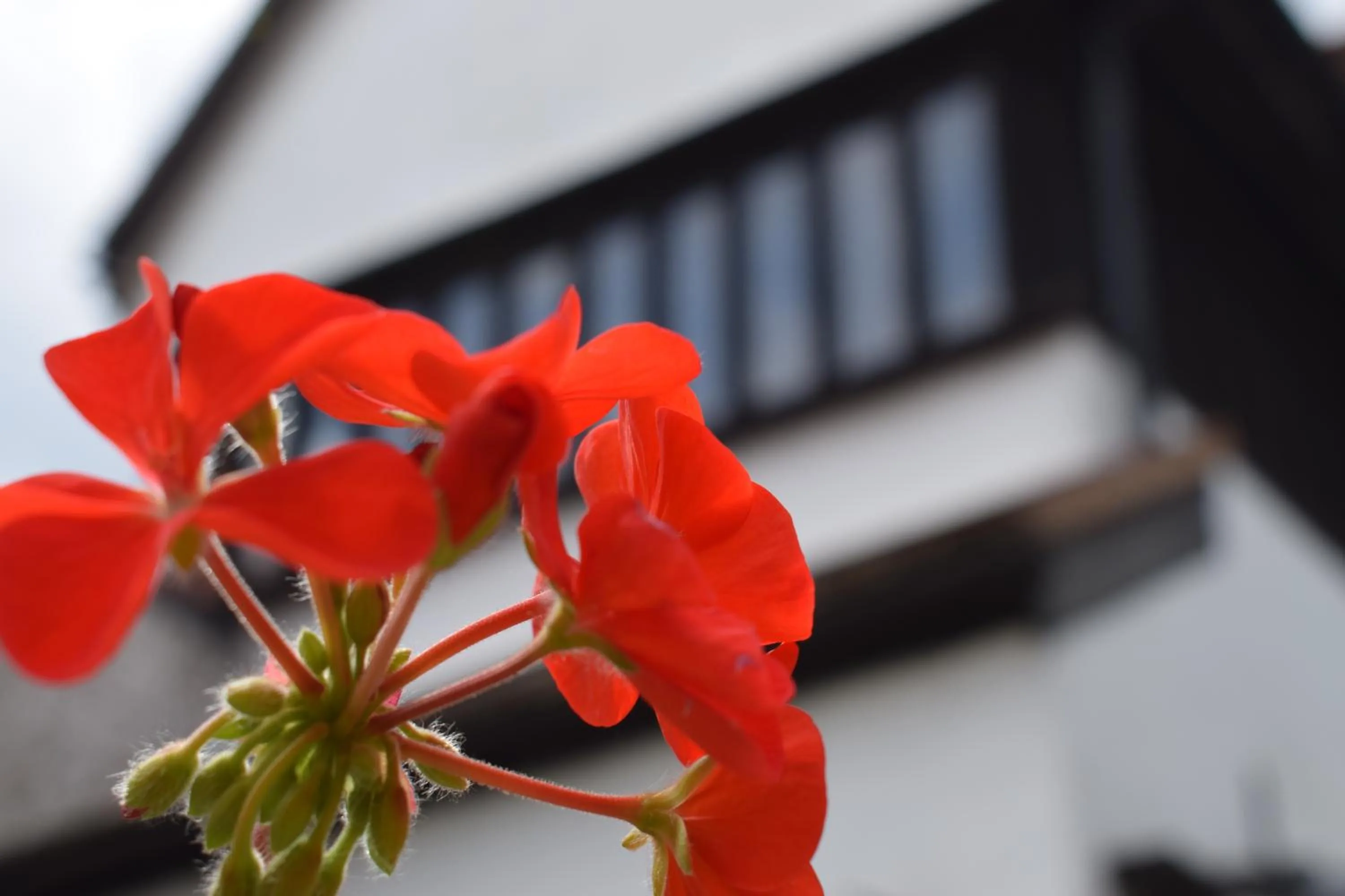 Restaurant/places to eat in Alma Inn & Dining Rooms