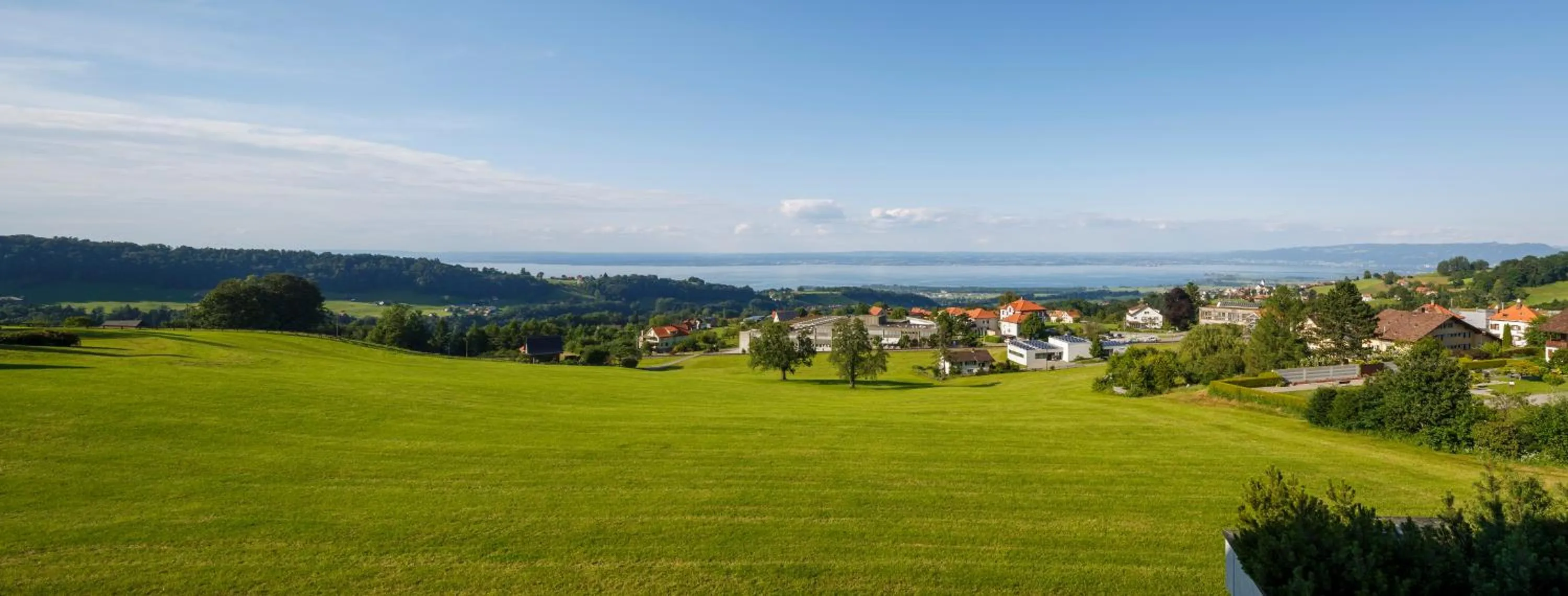 Natural landscape in Park